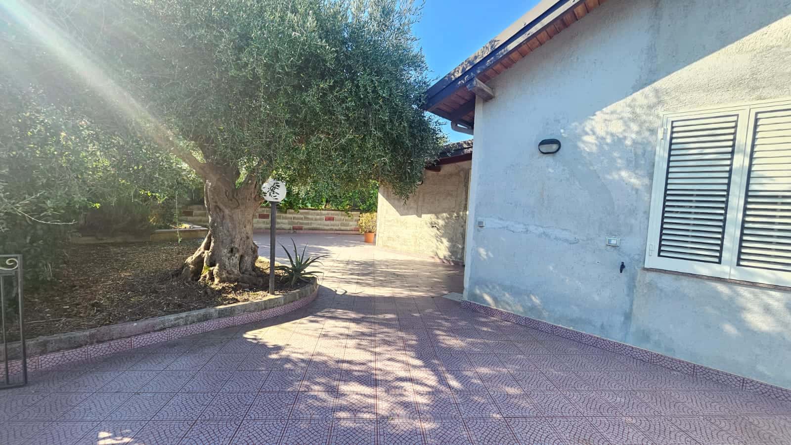 Altezza del sole che illumina il giardino con albero di ulivo e muro in pietra, ambiente esterno di una casa mediterranea con terrazza in piastrelle rosse e zona relax all'aperto.
