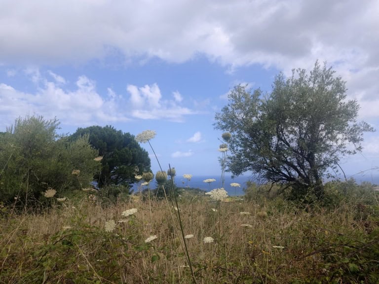 Terreno in vendita in c.da Margi a Rometta, Me
