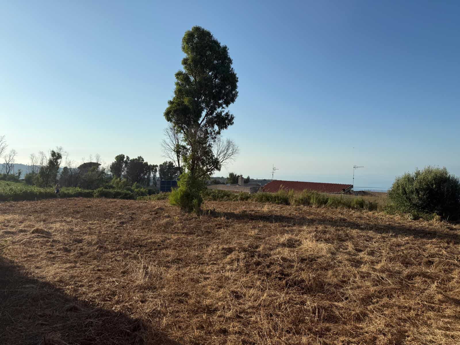 Prato incolto e vista panoramica con alberi e case, ideale per investimenti immobiliari e progetti di costruzione in zona tranquilla e soleggiata.