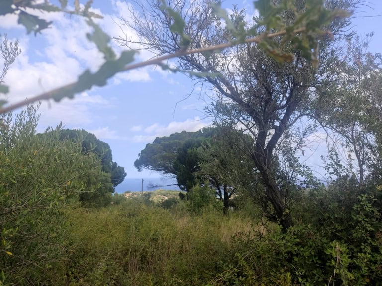 Terreno in vendita in c.da Margi a Rometta, Me