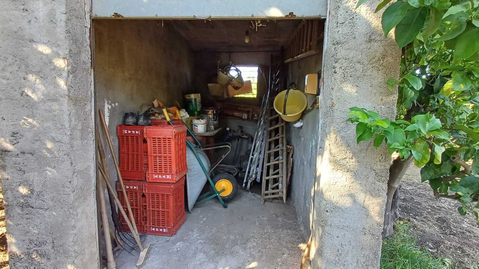 Baracca da giardino con attrezzi e materiali da lavoro, spazio di stoccaggio esterno, ideale per strumenti di giardinaggio e bricolage, vicino a un albero verde.