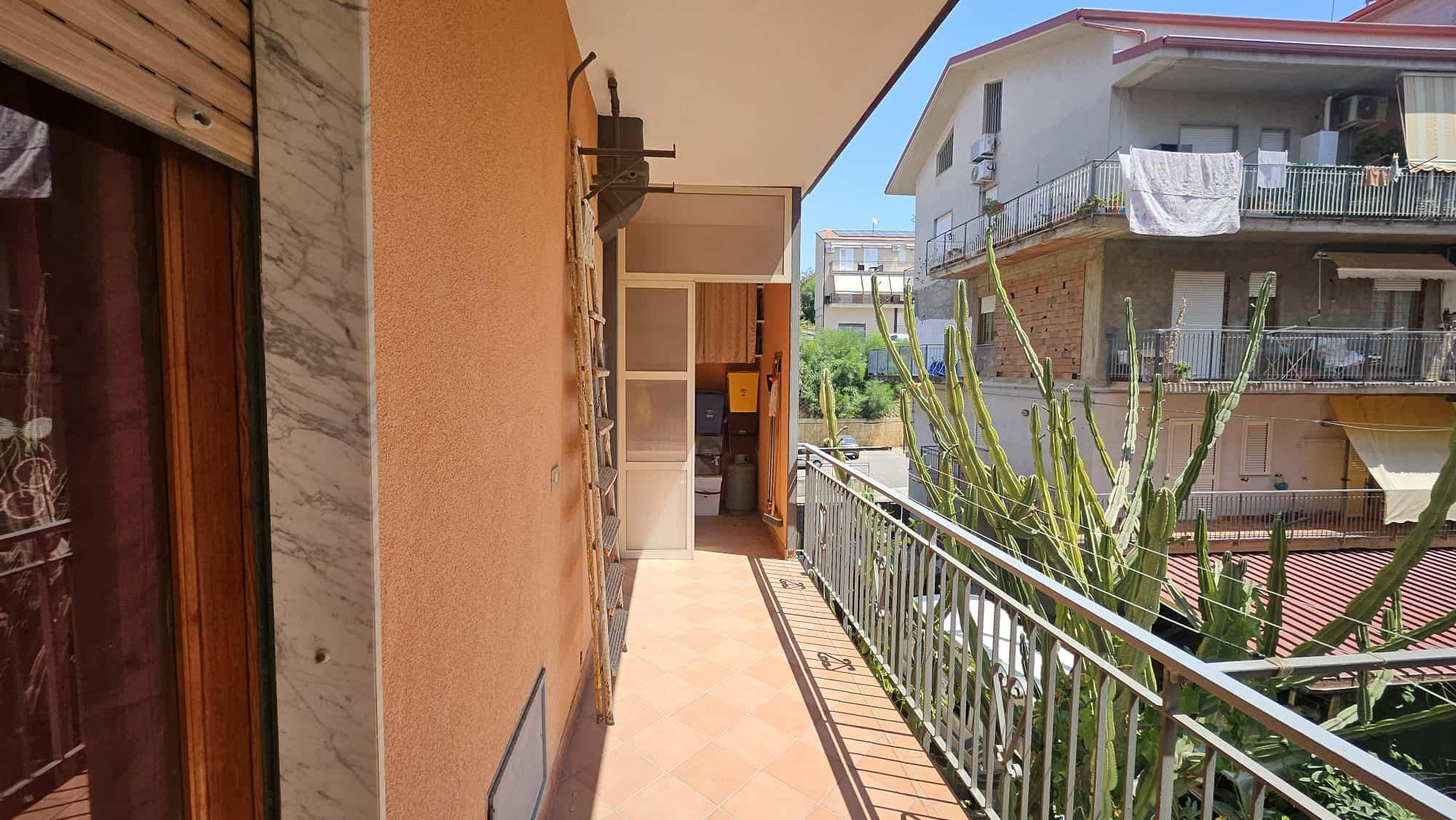 Balcone di appartamento con cactus e vista su edifici residenziali, spazioso e soleggiato, perfetto per relax e coltivazioni, situato nel cuore di un quartiere tranquillo.