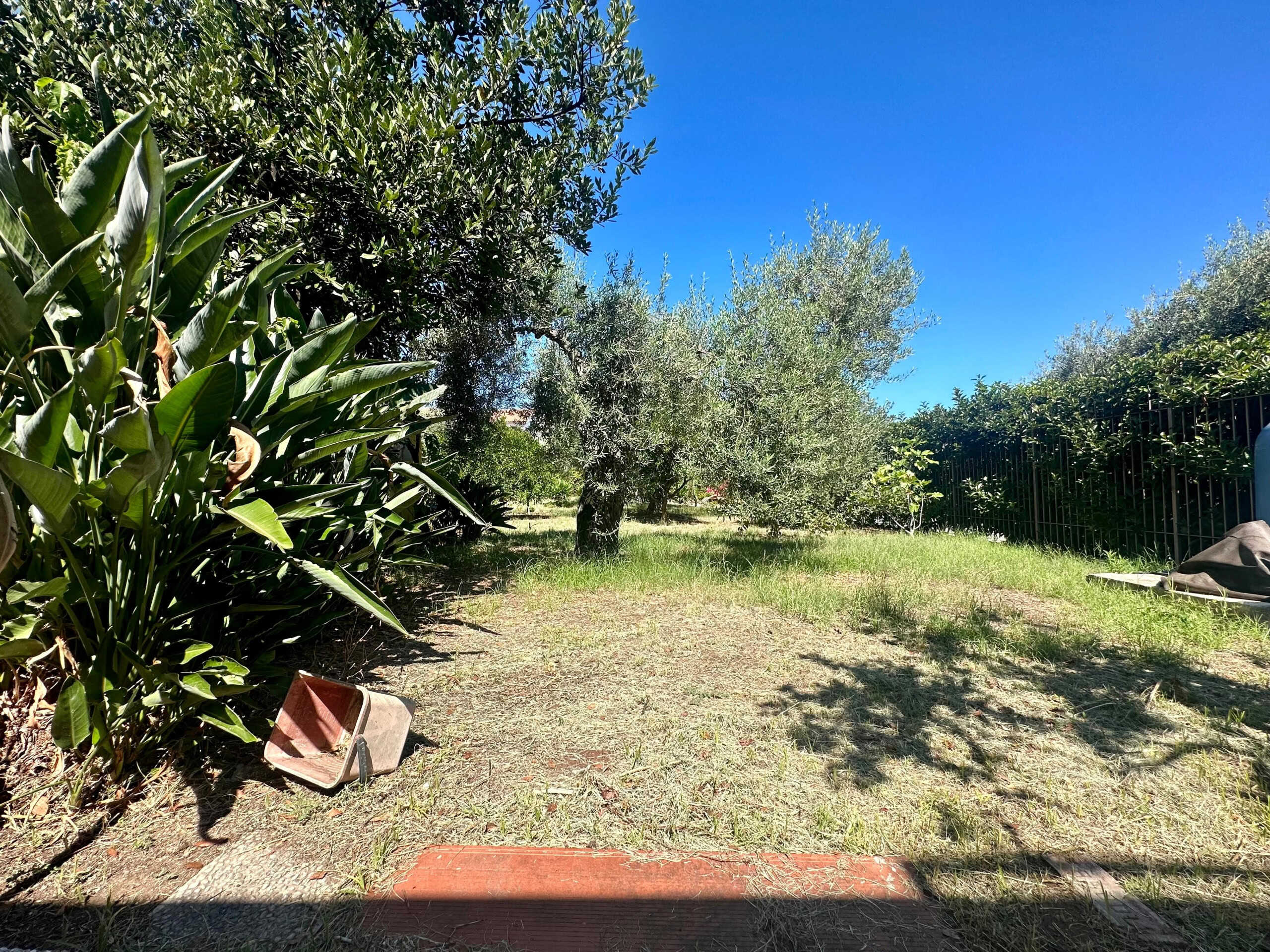 Spazio esterno verde con alberi e cespugli, area giardino ben curata sotto un cielo azzurro, perfetta per relax e attività all'aperto, ideale per proprietà residenziali e investimenti immobiliari.