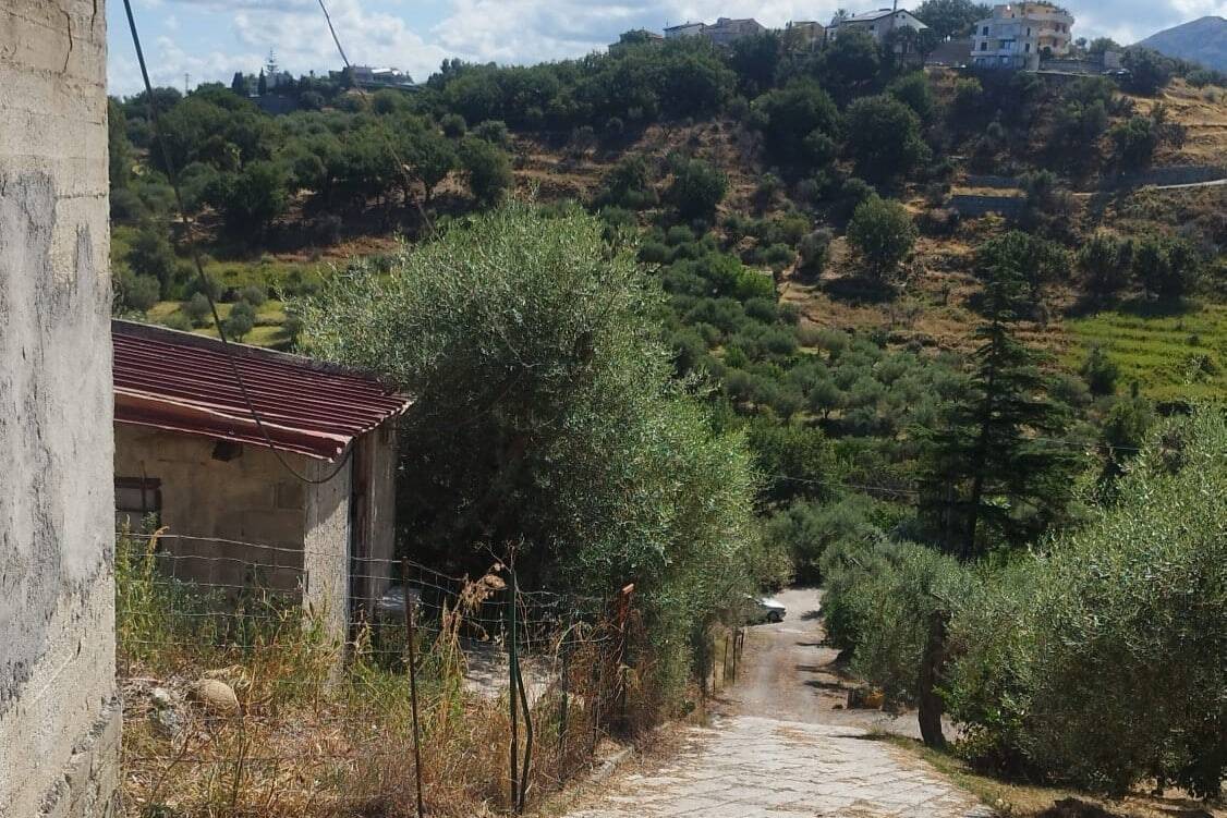 Vista paesaggistica rurale con strada sterrata, case tradizionali e paesaggio collinare con alberi e vegetazione, ideale per immobiliare e turismo in Italia.