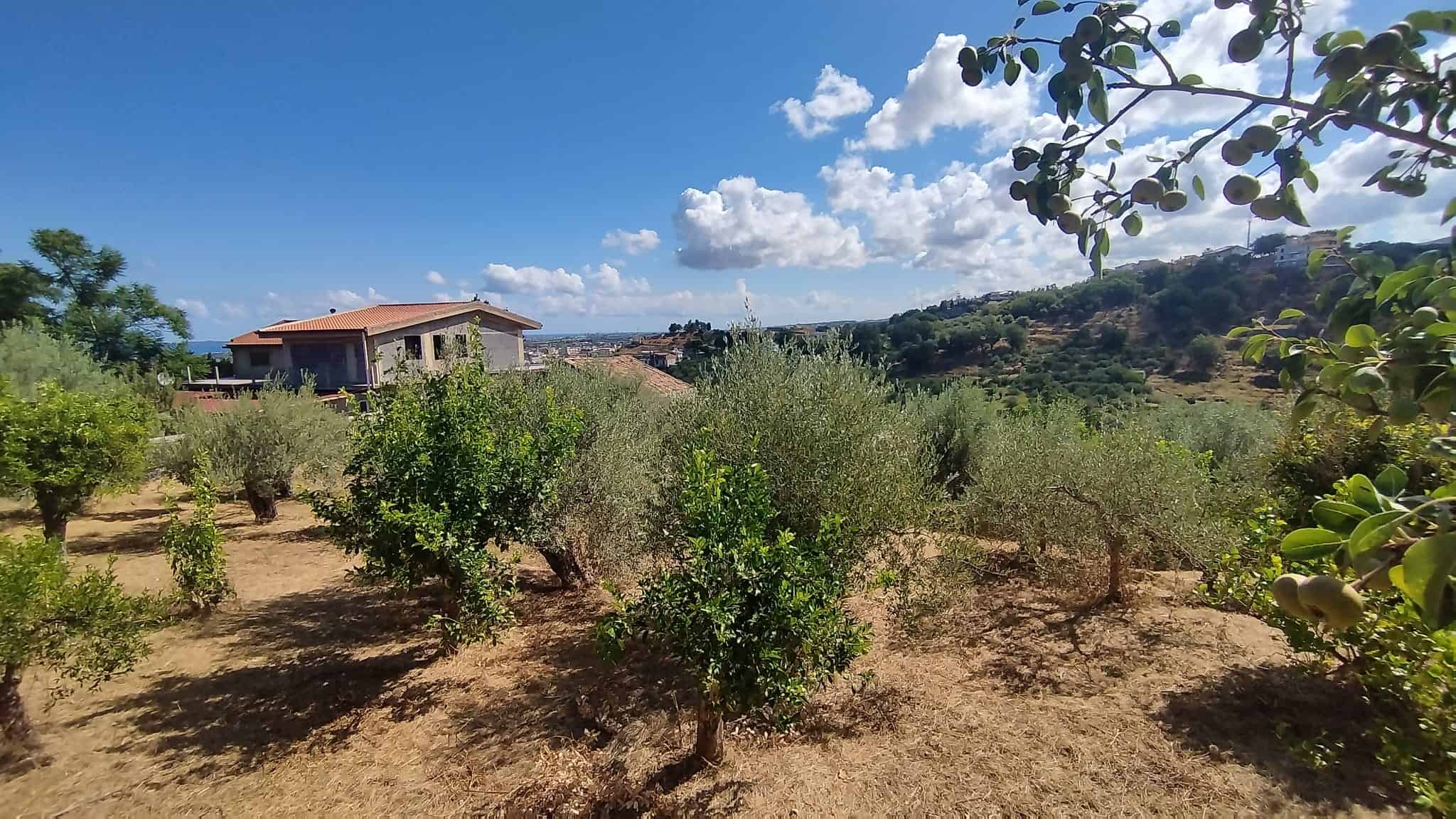 Alberi da frutto e vegetazione rigogliosa in un giardino con vista panoramica sulle colline e il cielo blu con nuvole bianche, ambiente naturale e tranquillo.