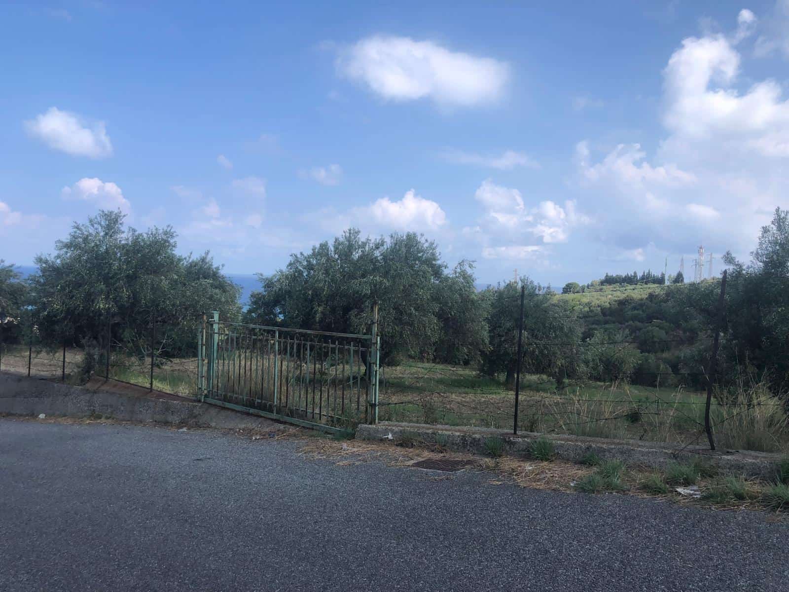 Fuga di campagna con alberi e cielo azzurro, vista all'aperto vicino a immobili residenziali o terreni, in un contesto naturale e tranquillo, perfetto per immobili in vendita o in affitto.