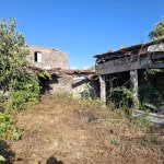 Rudere abbandonato con vegetazione in crescita, caratteristiche immobili da ristrutturare, immobile da recuperare, proprietà storiche in rovina, rustico da ristrutturare, NextCasa, valore immobiliare, opportunità di investimento, immobili da ristrutturare in Italia.