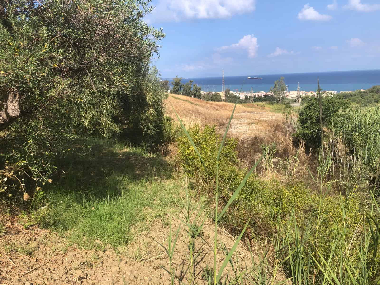 Prato verde e cespugli con vista mare e città, paesaggio naturale Mediterraneo, torri e nave in mare, cielo sereno, scena di campagna vicino alla costa, ambientazione tranquilla e suggestiva.