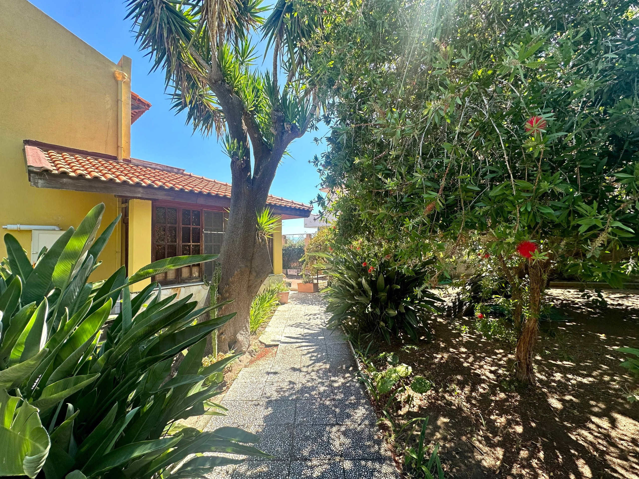 Faro di sole tra alberi e piante in giardino di una casa con muri gialli, vista su un sentiero che attraversa un rigoglioso spazio verde con alberi e foliage mediterraneo.