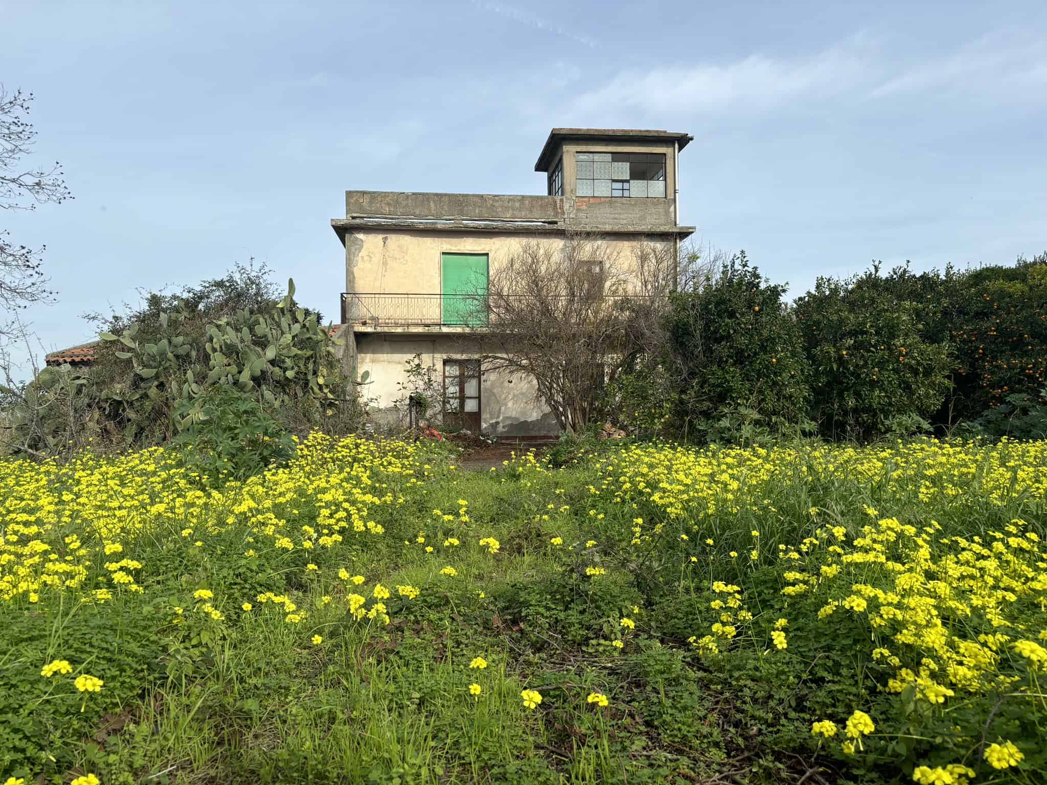 Casa rustica con giardino sconfinato, ispirata all'arte italiana. Architettura tradizionale con dettagli originali, immersa in un ambiente naturale con fiori gialli e vegetazione mediterranea.