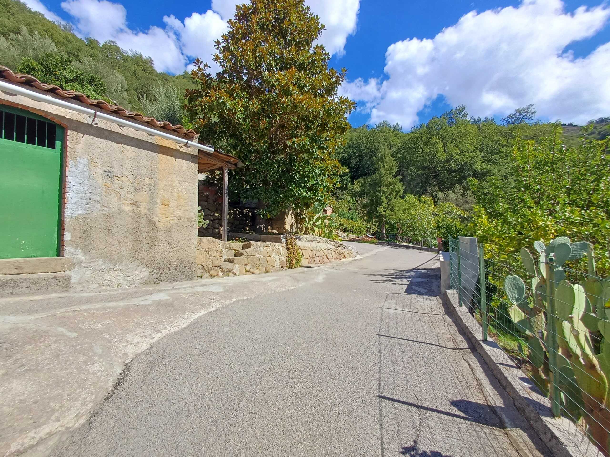 Viste di un suggestivo contesto di periferia con strada di campagna, muri in pietra, alberi verdi e cielo azzurro, perfetti per immobili in vendita o affitto immersi nella natura.