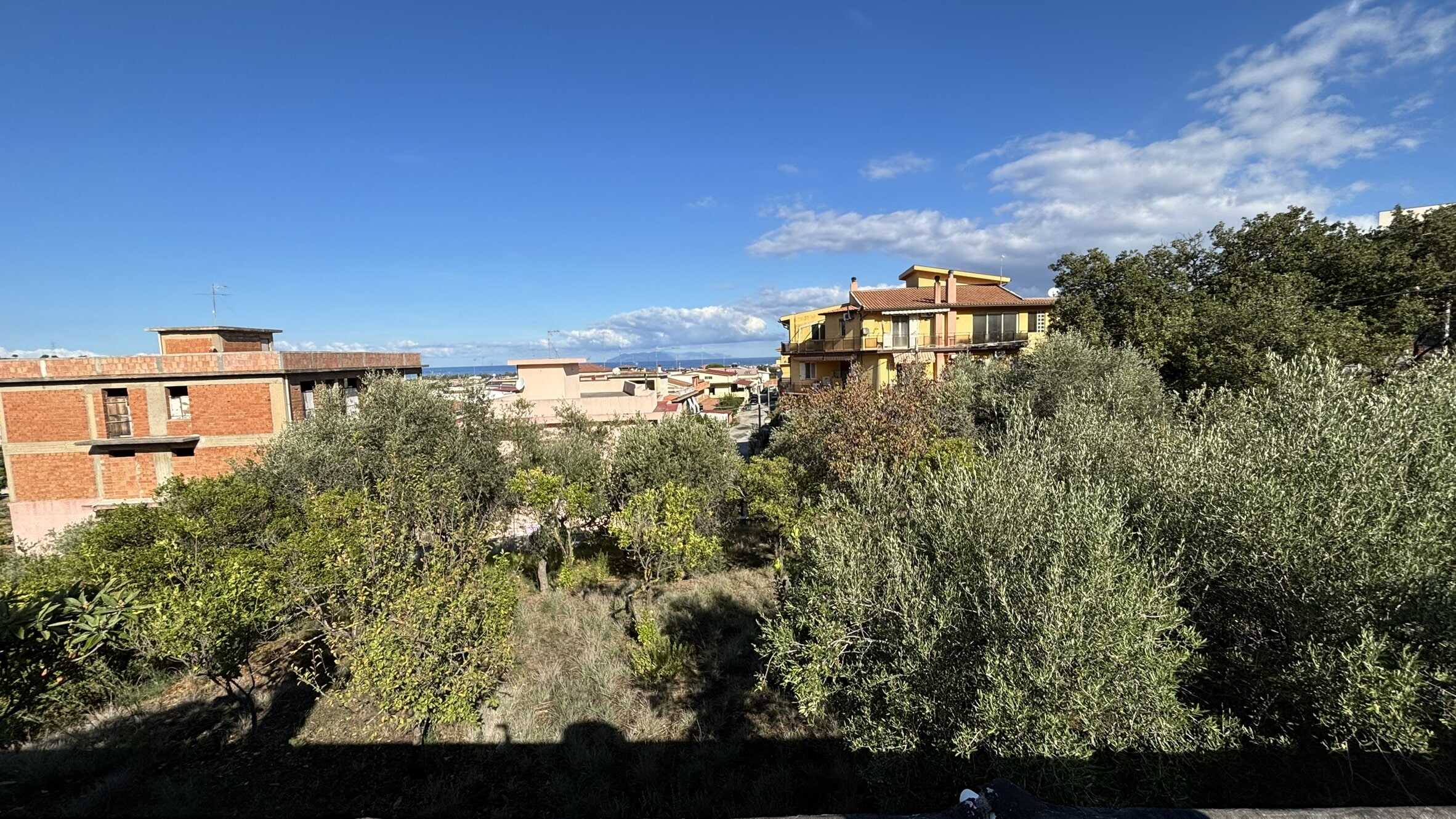 Verde urbano con alberi e piante, vista su edifici residenziali e cielo azzurro, immagine di una zona residenziale vicino al mare, ideale per promuovere proprietà con vista panoramica e natura.