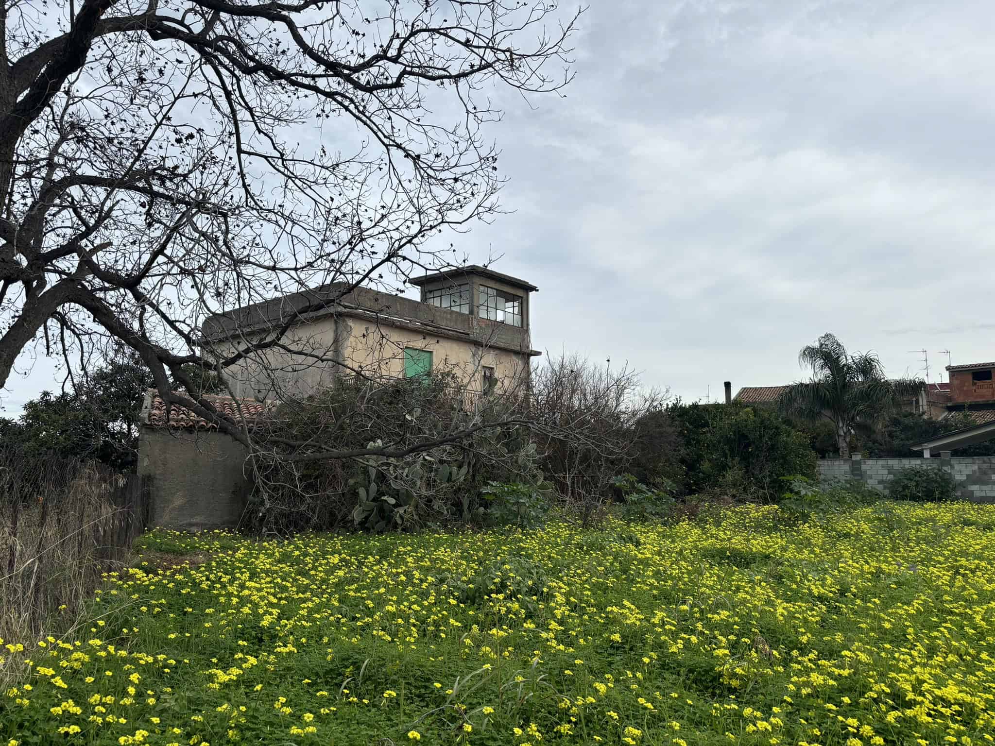 Vecchio casa di campagna circondata da un prato verde con fiori gialli e alberi senza foglie, cielo nuvoloso, atmosfera rurale.