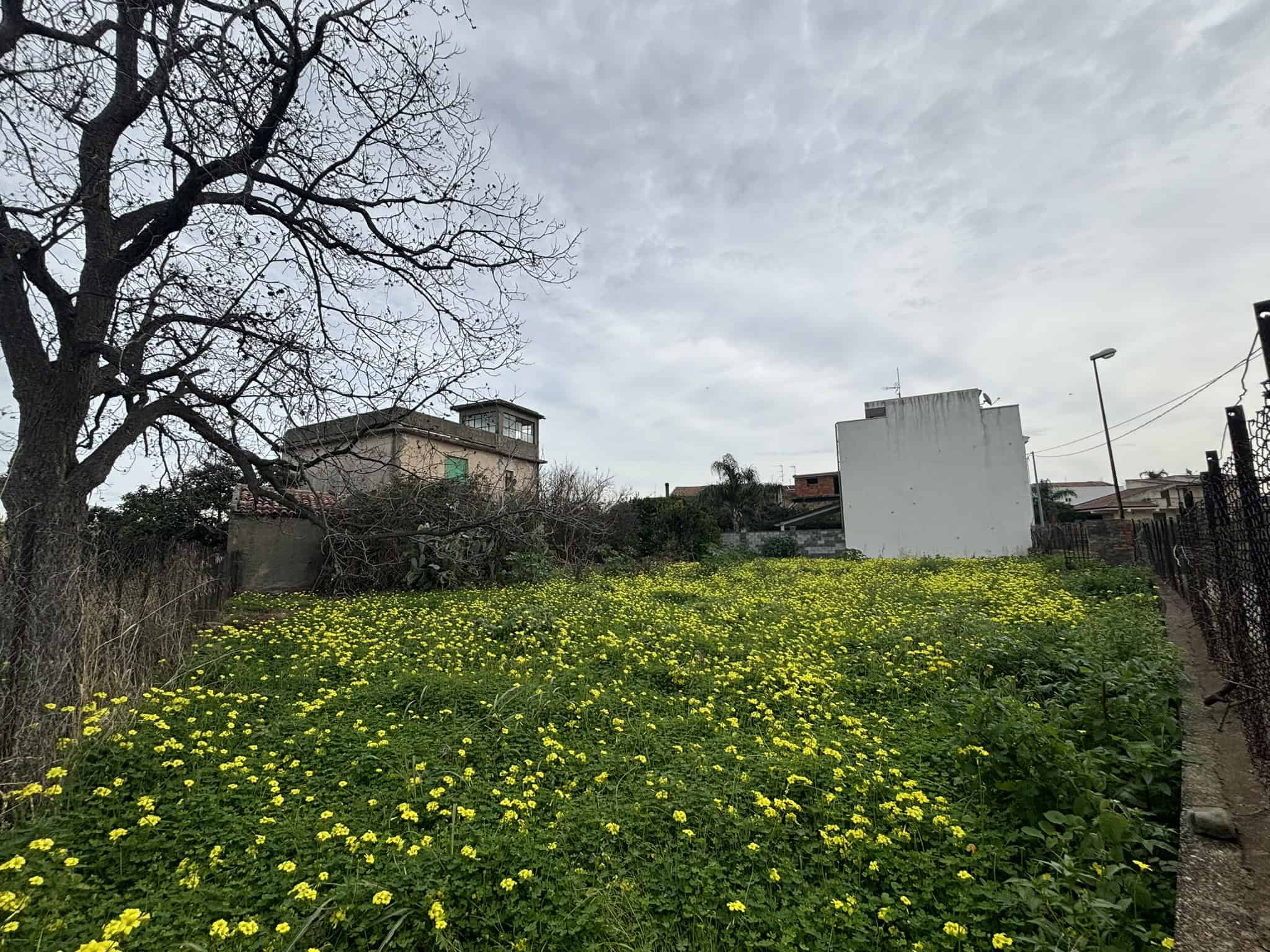 Maggiorana di un giardino urbano con vaso di fiori e alberi nudi, sotto un cielo nuvoloso, in un quartiere residenziale vicino a NextCasa.