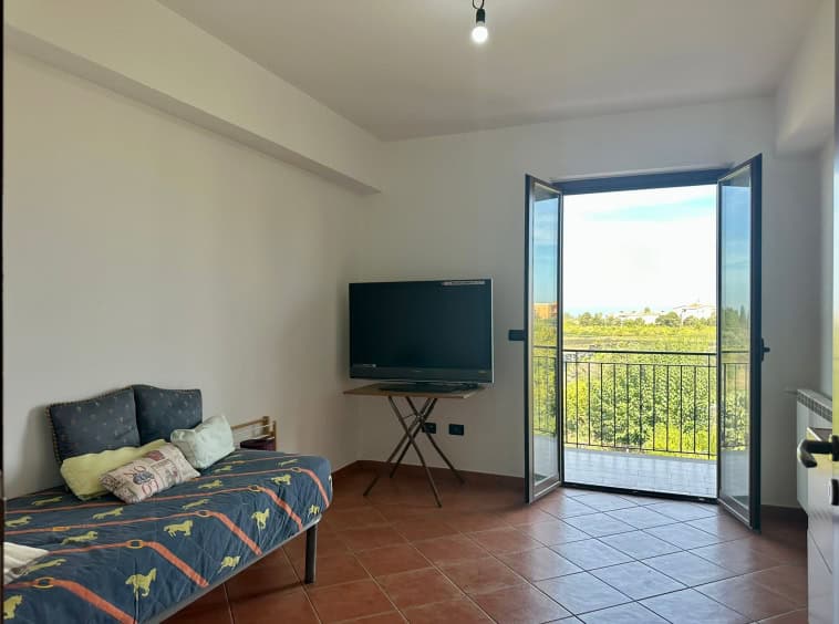 Divano letto in soggiorno con vista su balcone e paesaggio naturale, arredamento semplice e funzionale, ideale per appartamenti moderni.