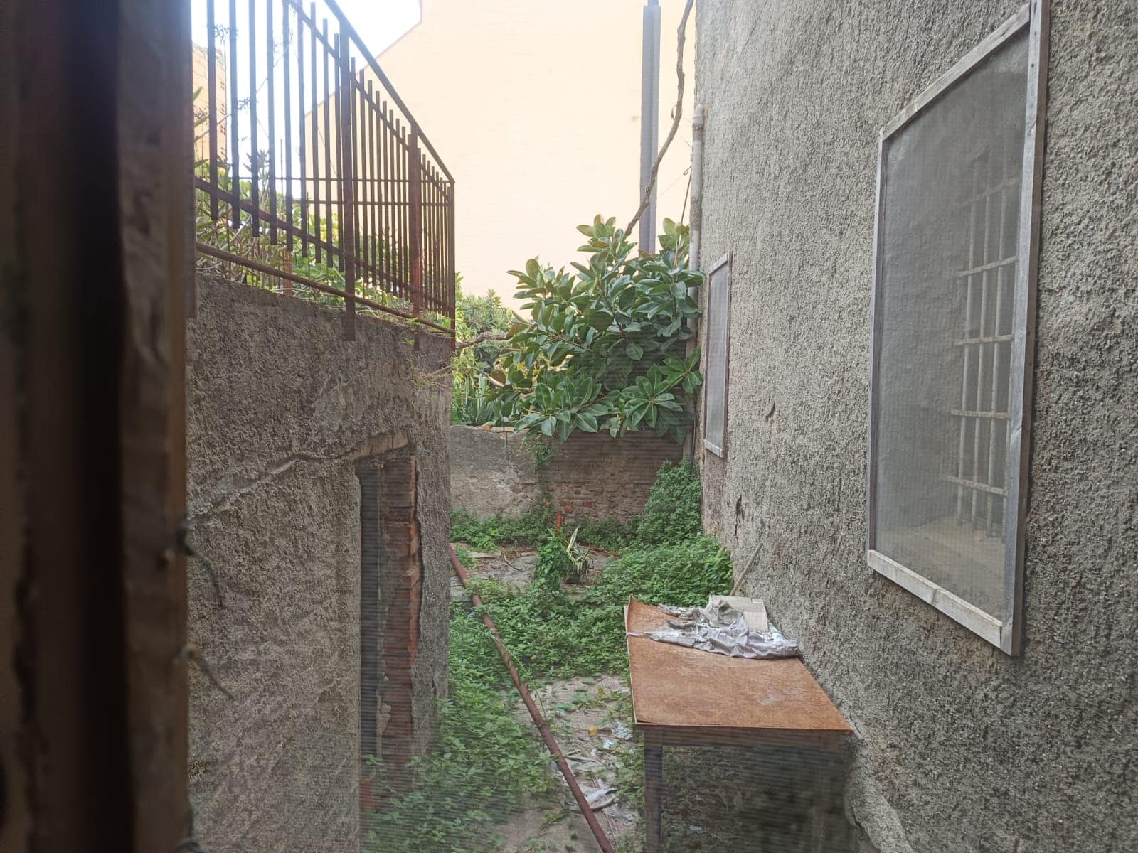 Scorcio di un cortile esterno con pareti in pietra e mattoni, vegetazione lussureggiante e una vecchia finestra in metallo. Atmosfera di un'area esterna rustica e semiabbandonata, ideale per ristrutturazioni e progetti di recupero immobiliare.