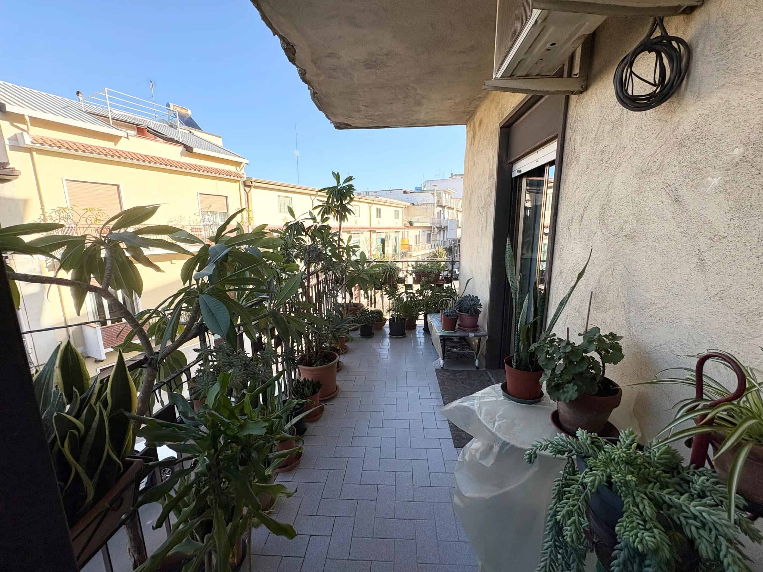 Balcone con piante verdi e fiori in vaso, vista di abitazioni vicine in città, spazio esterno abitabile e ben curato, ideale per relax e coltivazione di piante in ambiente urbano.