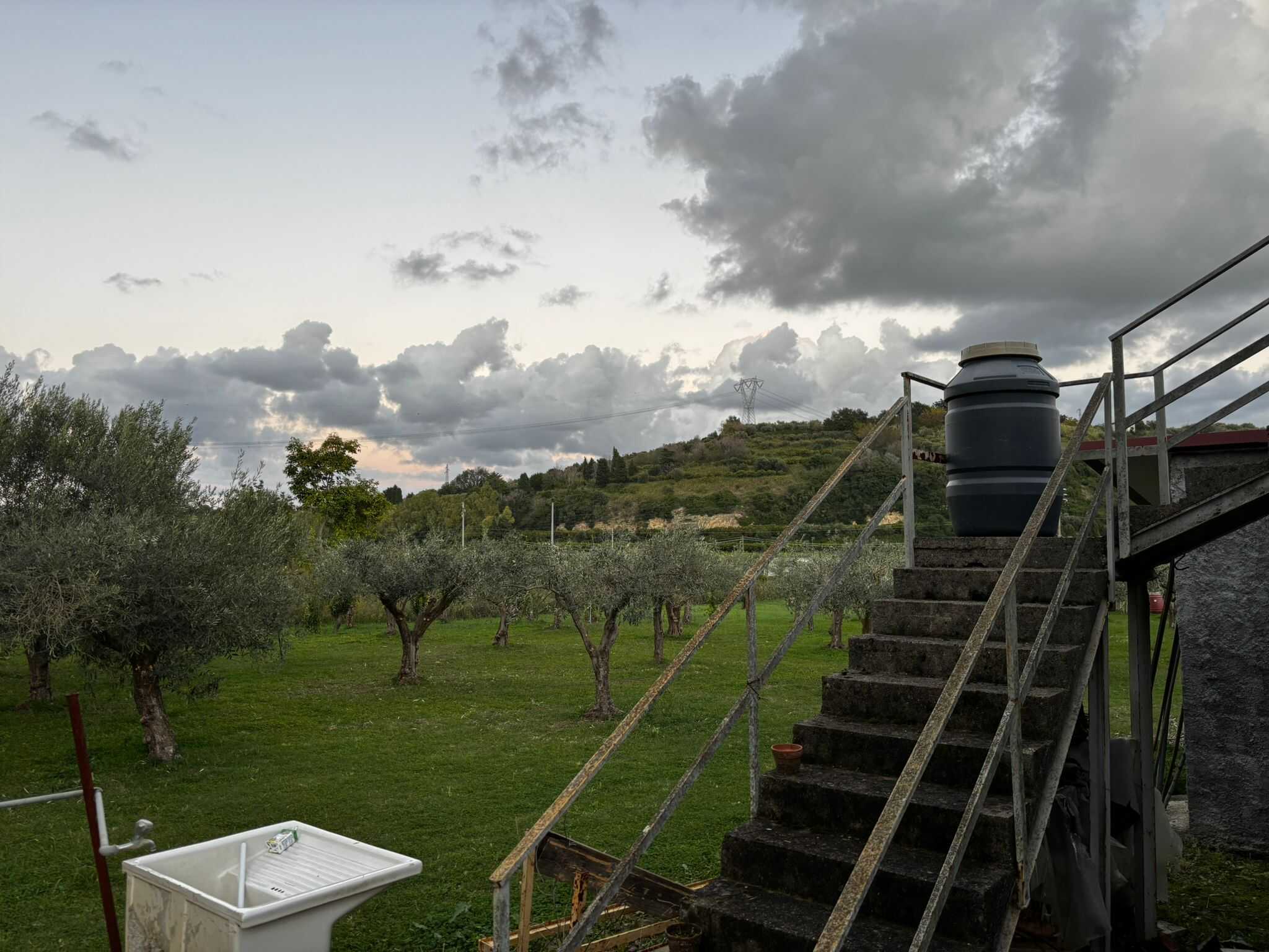 Olive grove con alberi e un cielo nuvoloso, vista dal giardino della casa con scale in cemento e contenitore per acqua, contesto rurale e naturale, ideale per agriturismi e residenze in campagna.