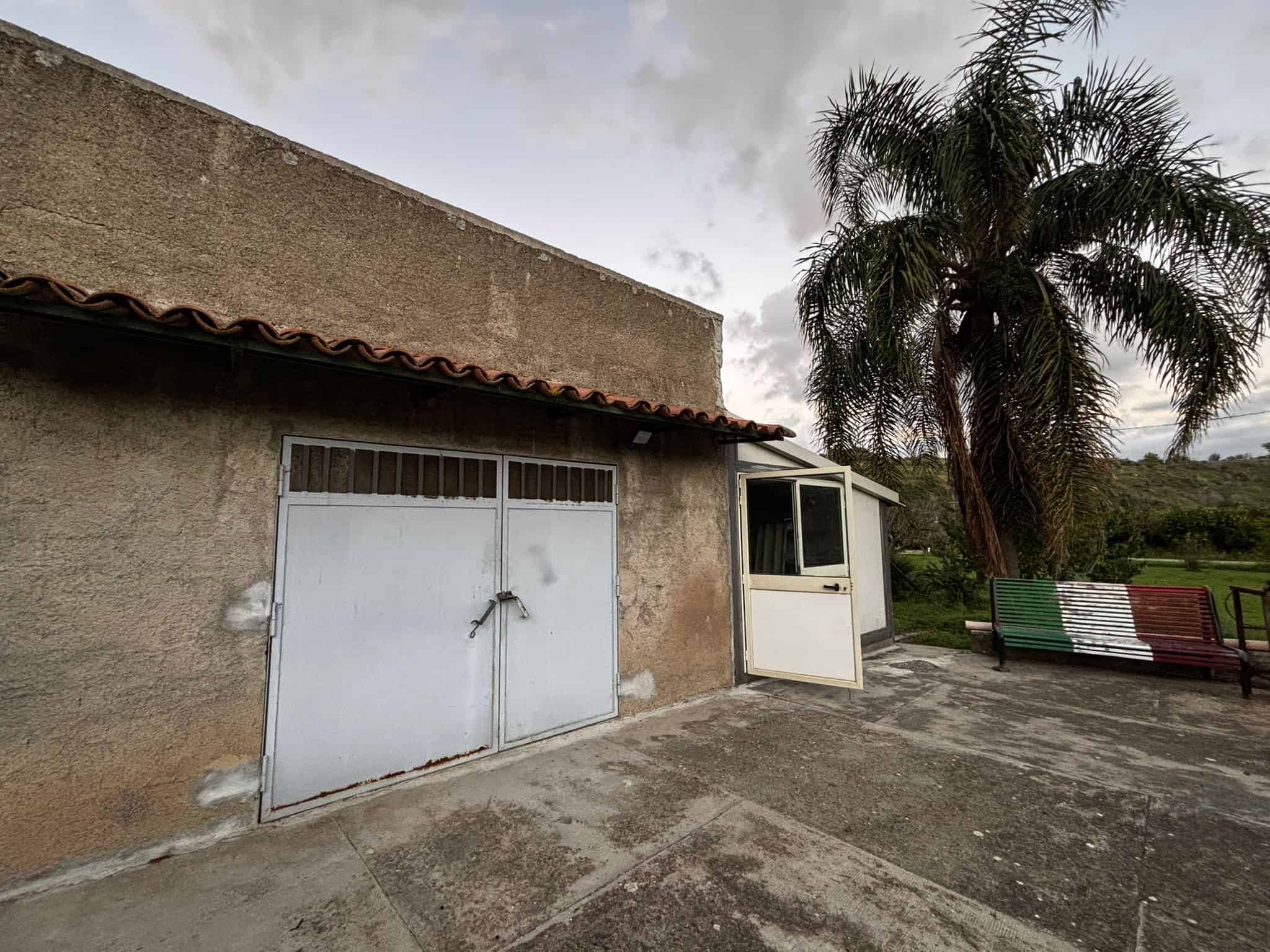Finestra e porta di un fabbricato rustico con pareti in stucco, circondato da natura e un grande albero di palma, in uno scenario tranquillo e rurale.