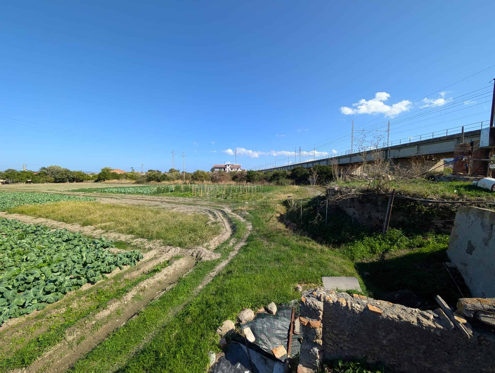 Campagna agricola soleggiata con coltivazioni, strada di terra e treni in transito sotto un cielo sereno.