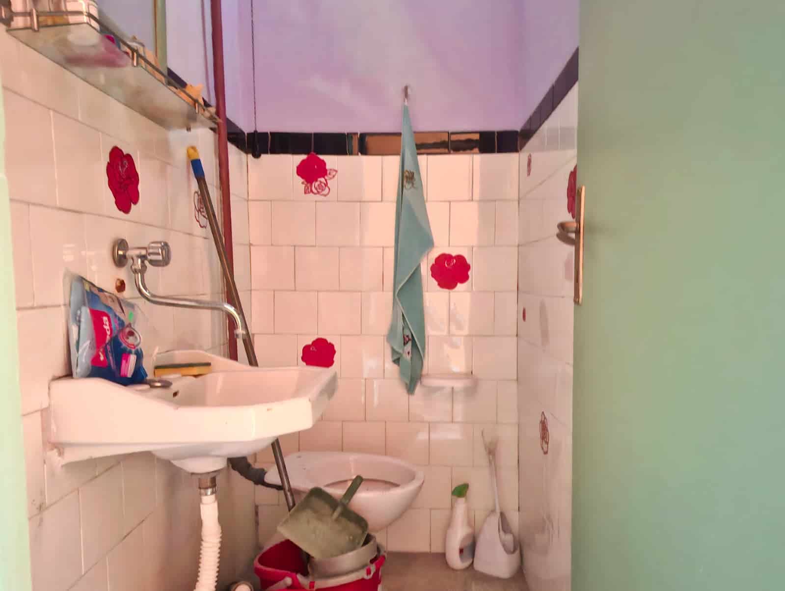 Lavanderia con piastrelle con fiori rossi, lavabo e diversi attrezzi per la pulizia, ambiente funzionale e pratico, ideale per il lavaggio e la cura del bucato.