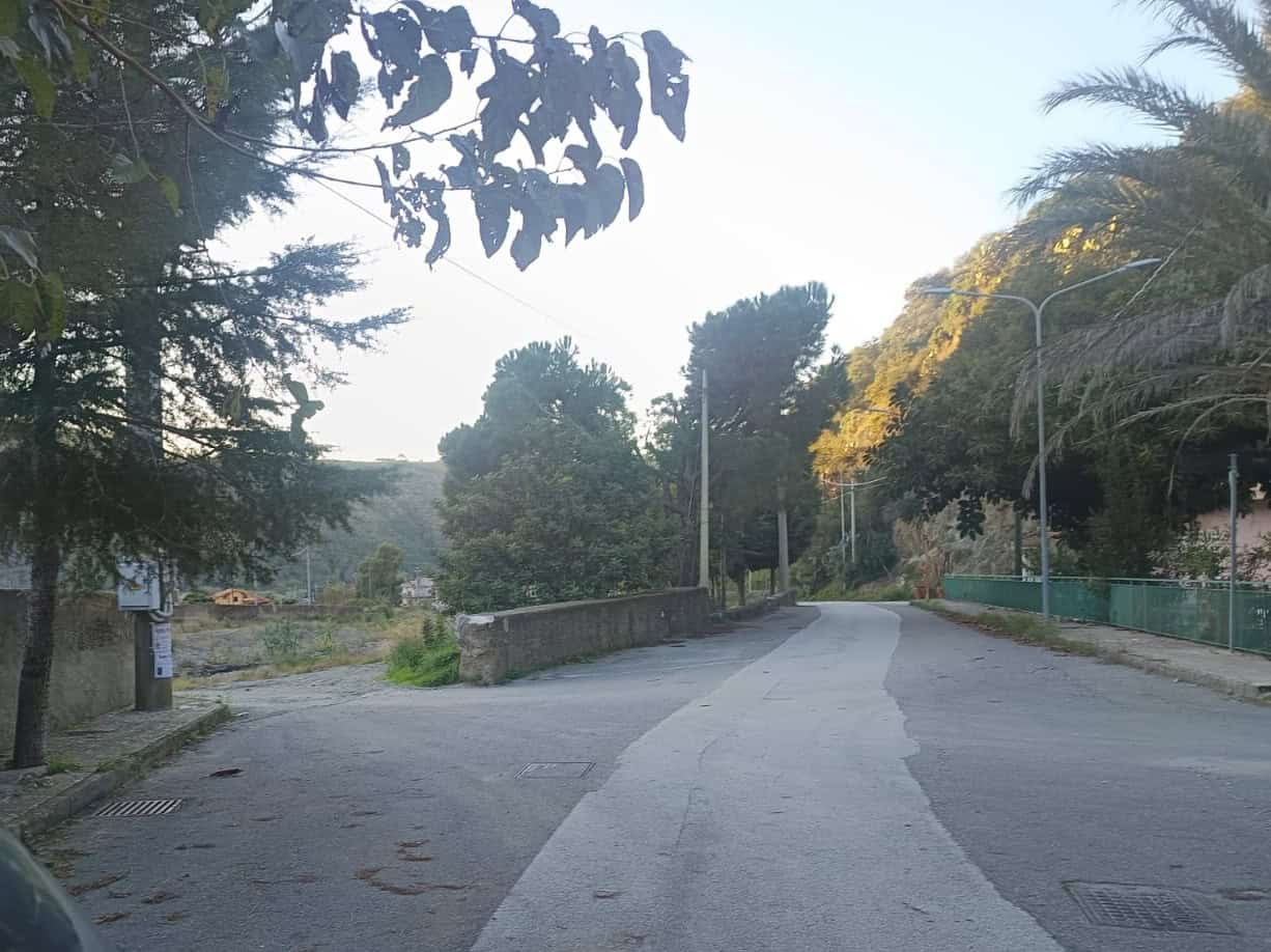 Strada di campagna con alberi e luci stradali in una zona tranquilla e verdeggiante, ideale per l'acquisto di case o investimenti immobiliari vicino alla natura.