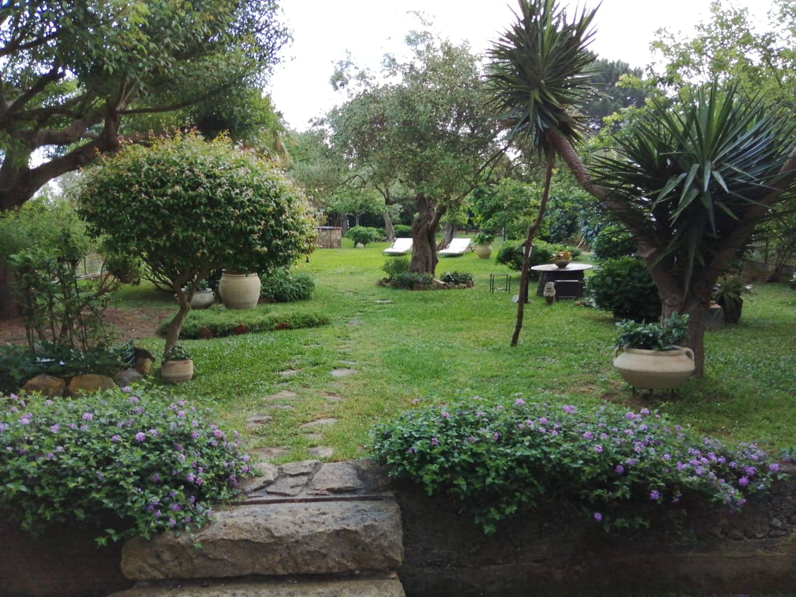 Verde giardino con alberi e piante decorative, area relax e spazi all'aperto, ideale per vivere la natura e il benessere, perfetto per valorizzare la tua casa con servizi NextCasa.