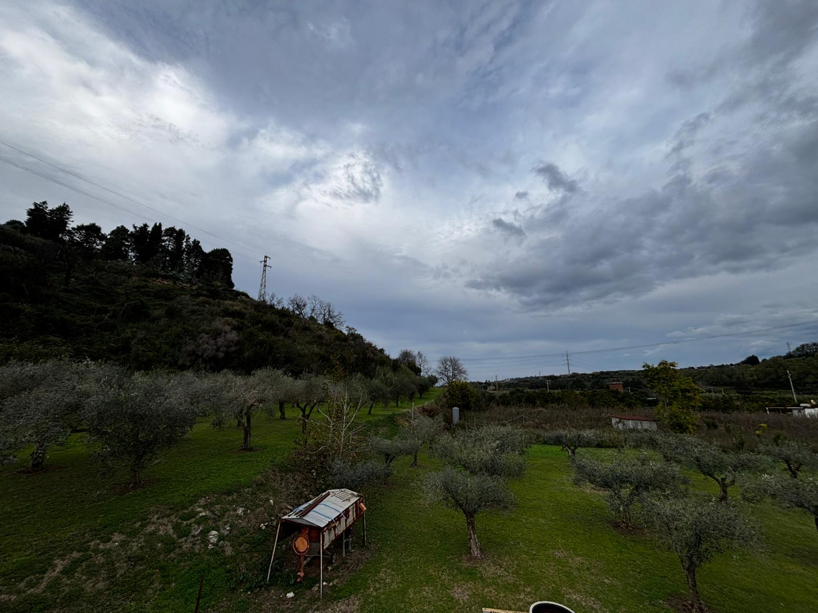 1. Paesaggio rurale con alberi da frutto e cielo nuvoloso, vista panoramica di campagna in Lombardia.