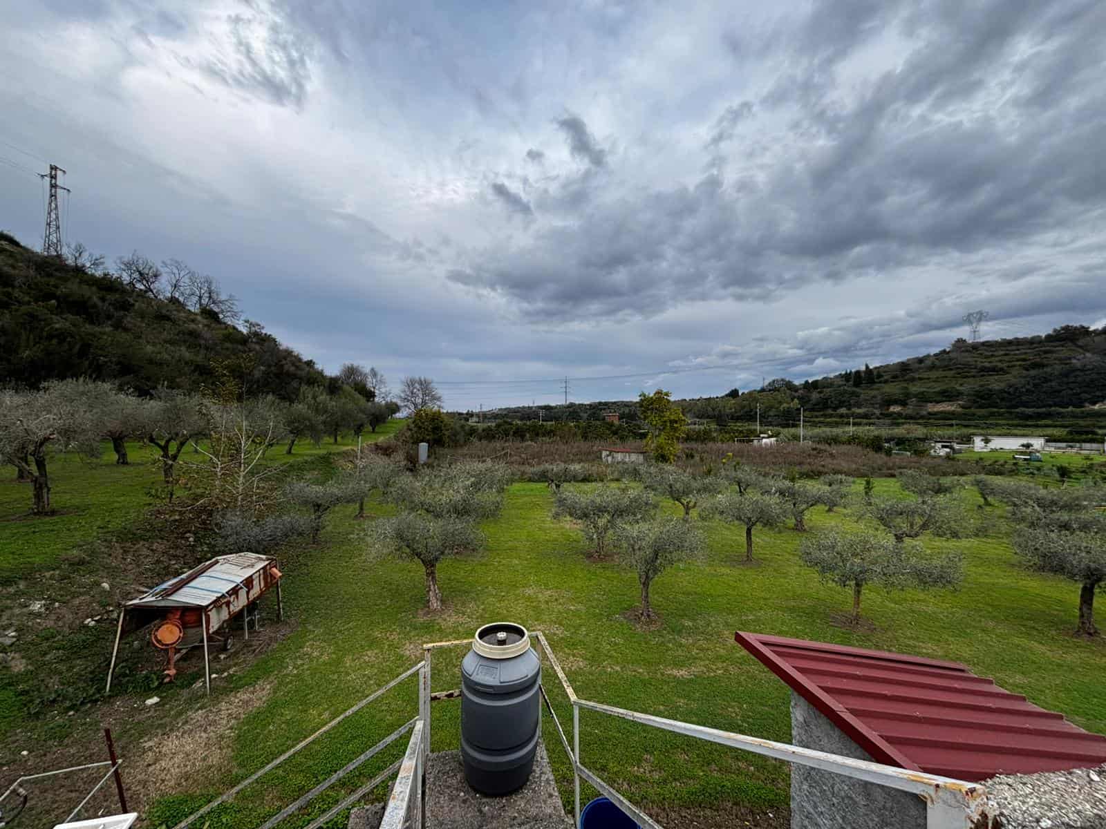 Paesaggio rurale con oliveti e colline verdi sotto cielo nuvoloso, ideale per proprietà agricole e investimenti immobiliari in campagna.