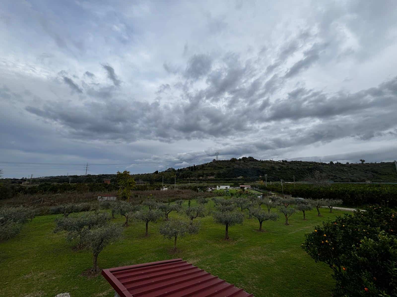 Vasta campagna con alberi di ulivo sotto cielo nuvoloso, paesaggio rurale con colline e vegetazione, ideale per agricoltura biologica o investimento immobiliare in campagna.