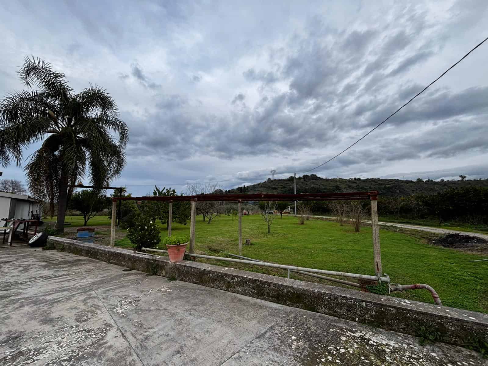 Verde giardino spazioso con piante di alberi e vista sulle colline, scenario tranquillo e naturale ideale per case in campagna o proprietà rurali a NextCasa.
