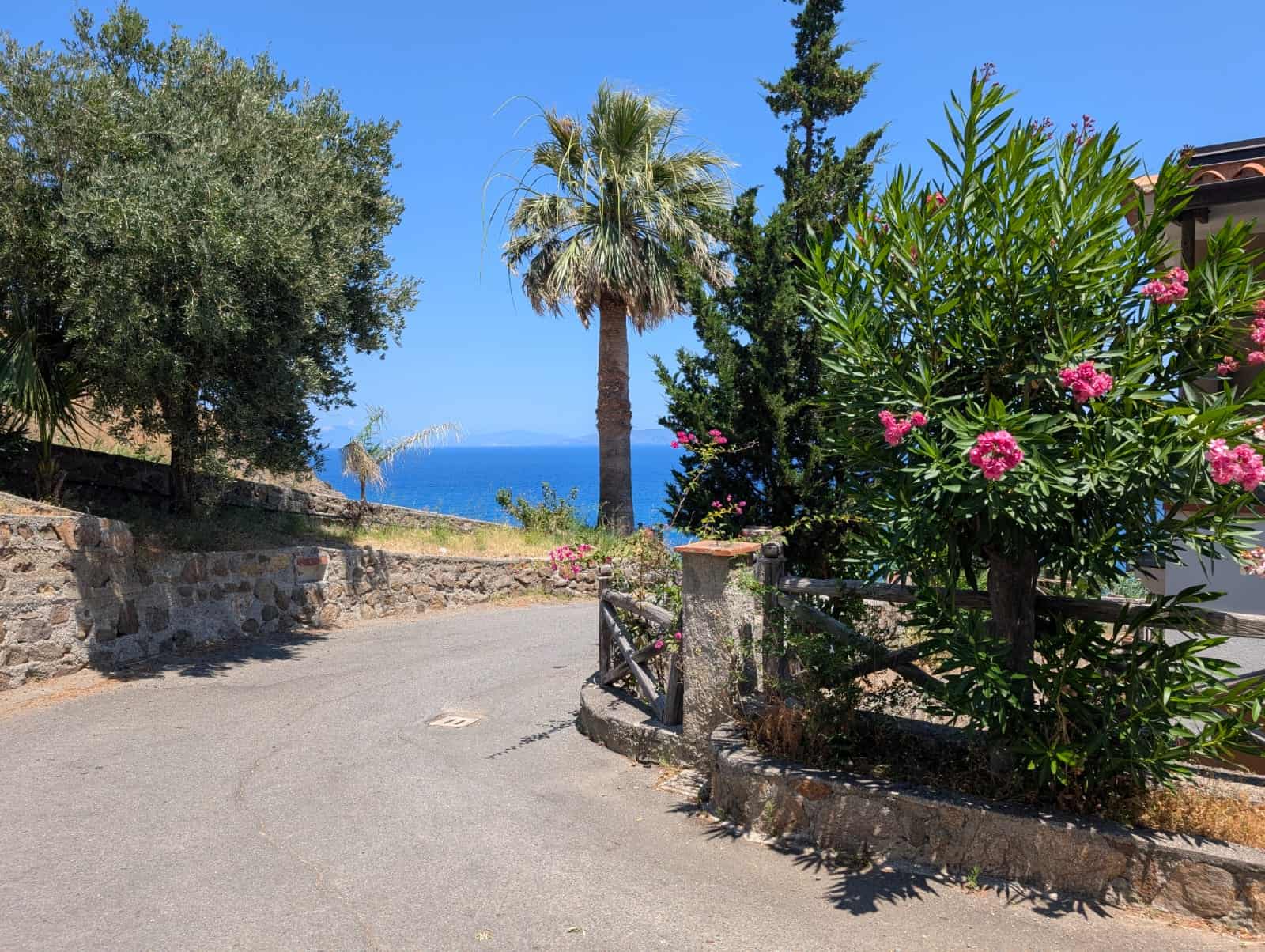 Vista panoramica con alberi tropicali e mare blu, strada di campagna in zona residenziale vicino al mare, atmosfera estiva e tranquilla, elementi naturali e paesaggio mediterraneo.