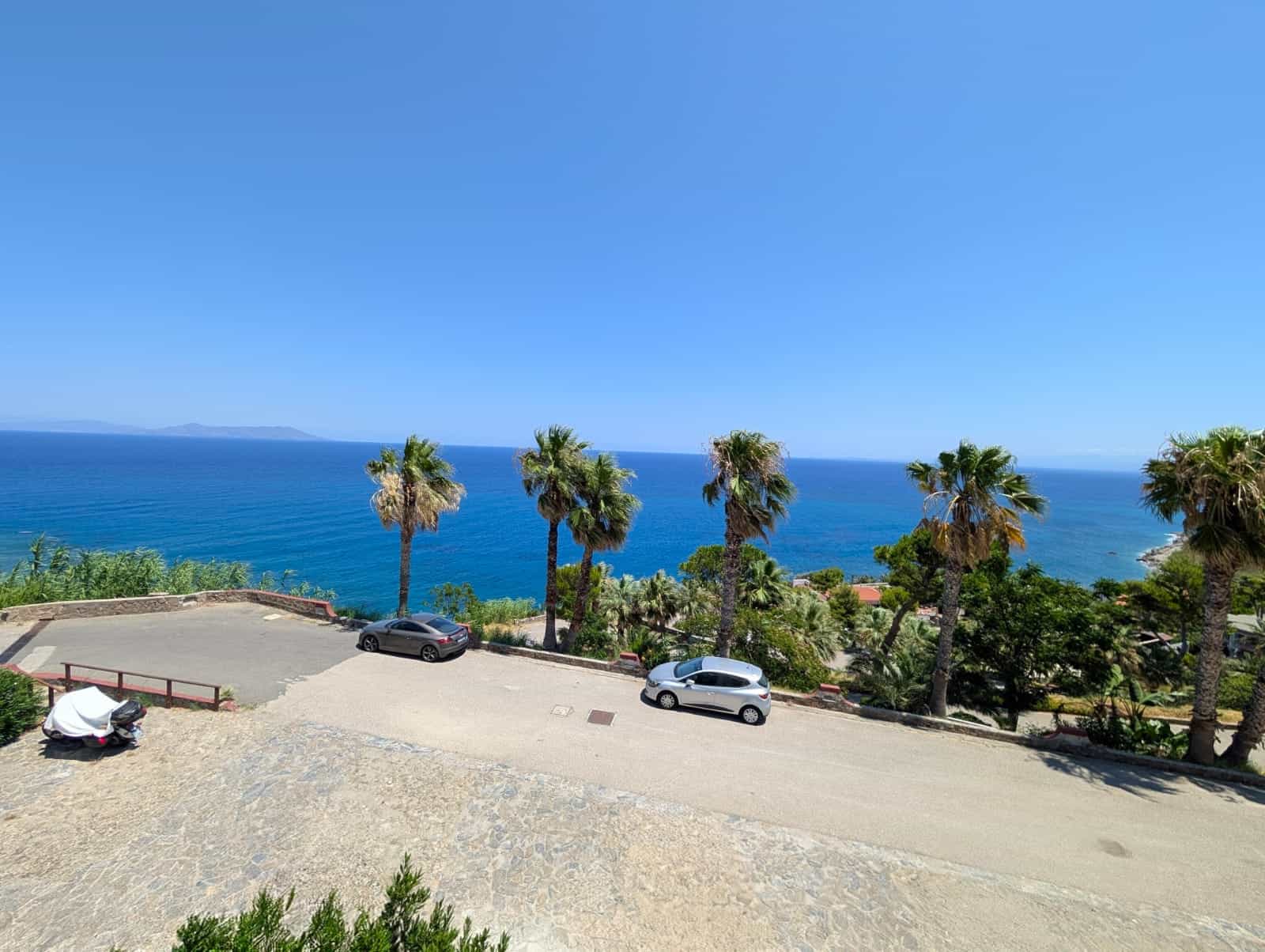 Vista mare mediterranea con palme, auto e strada panoramica, perfetta per case al mare e immobili di lusso, con paesaggi di NextCasa.