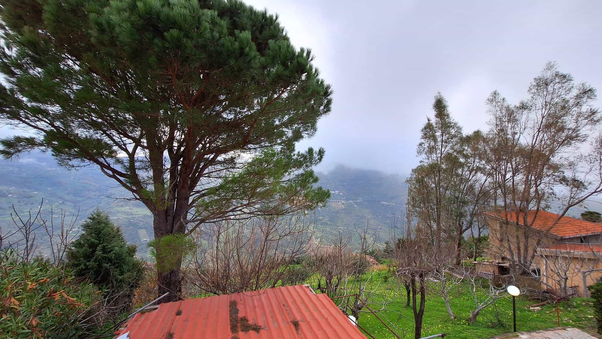 Ampio albero di pino che domina il paesaggio naturale con vista su colline e natura incontaminata, un'oasi di pace immersa nel verde, ideale per momenti di relax e connettività con la natura.