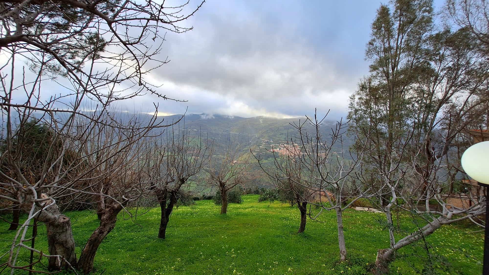 Un paesaggio di vigneti in inverno con alberi spogli, sullo sfondo montagne avvolte nelle nuvole, atmosfera tranquilla e naturale, ideale per agriturismi, case di montagna e turismo rurale in Italia.