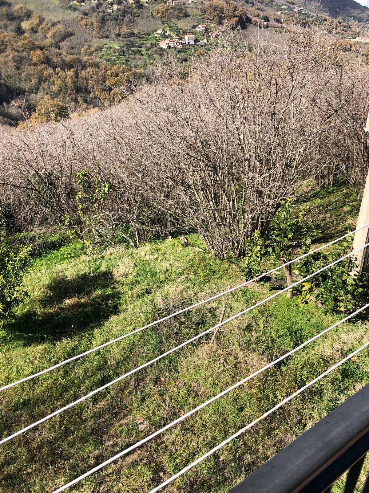 Verde con alberi senza foglie in collina, vista panoramica sulle case sparse e sul paesaggio montano di primavera, con rete e prato sul balcone.