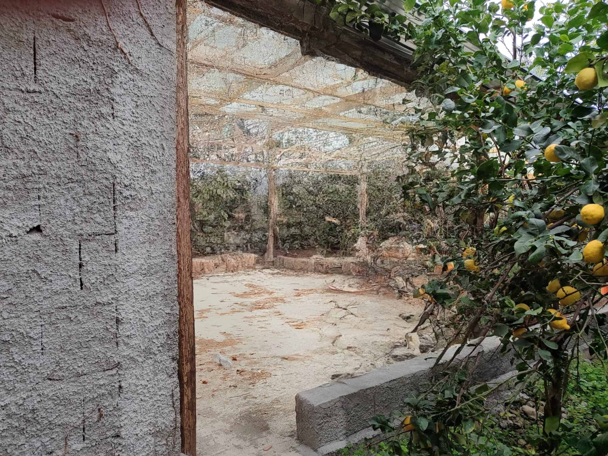 Vecchio cortile esterno con mura in pietra e pergolato in legno, immerso nel verde con alberi di limoni, ideale per ristrutturare una casa o un giardino rustico.