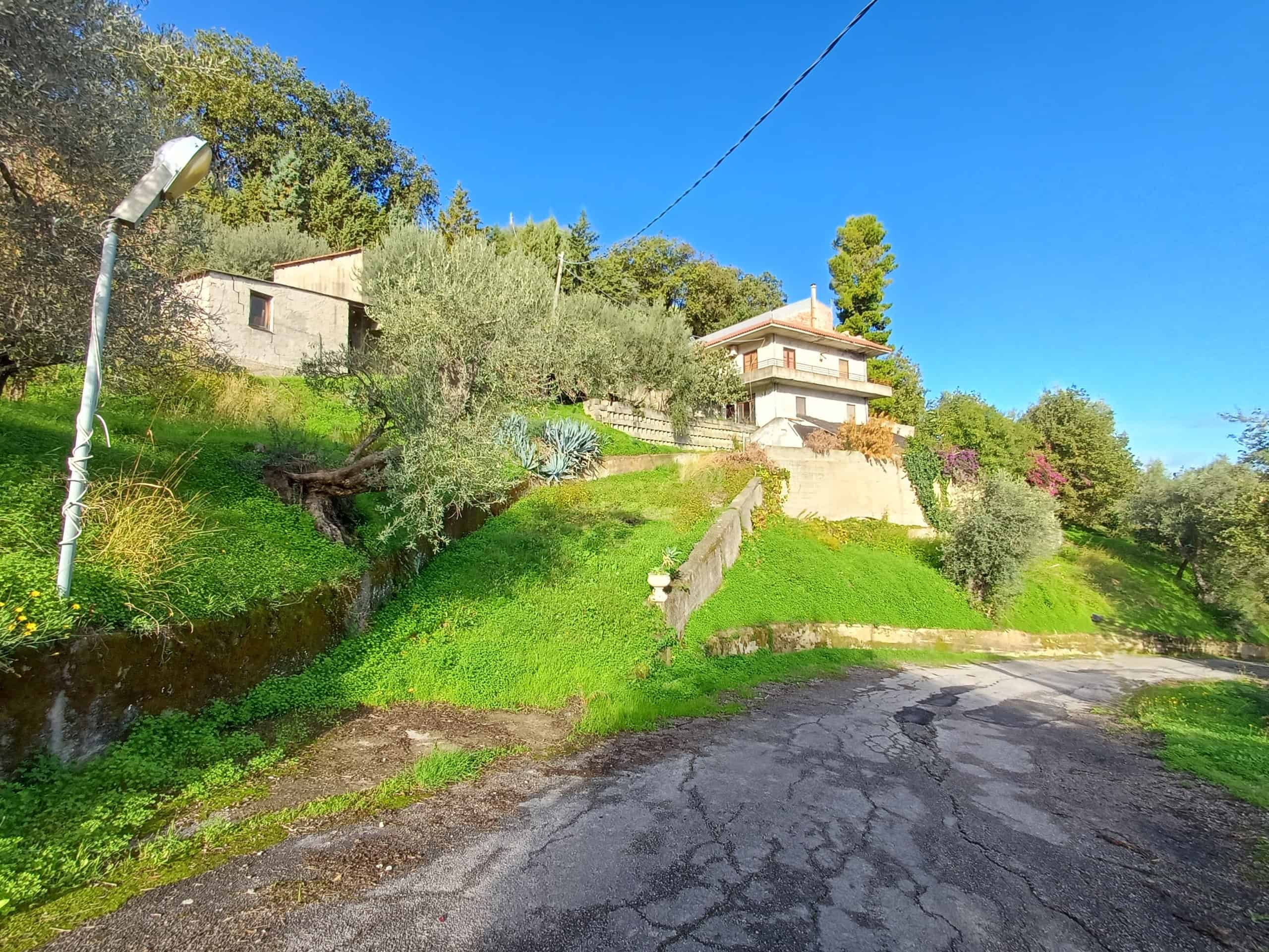 Casa immersa nel verde con vista panoramica, giardino curato e strada asfaltata nelle vicinanze, ideale per investimenti immobiliari e proprietà di lusso.