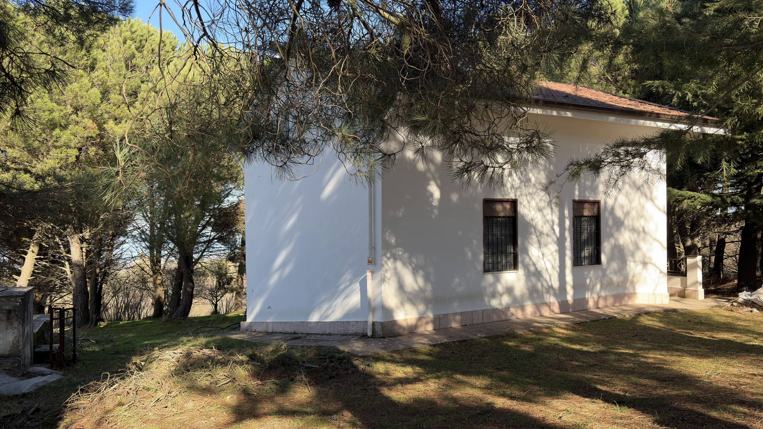Casa indipendente circondata da pini e alberi, vista esterna, un'abitazione bianca con finestre con grate, immersa nel verde, ideale per acquisto immobiliare campagna, residenza privata o investimento.
