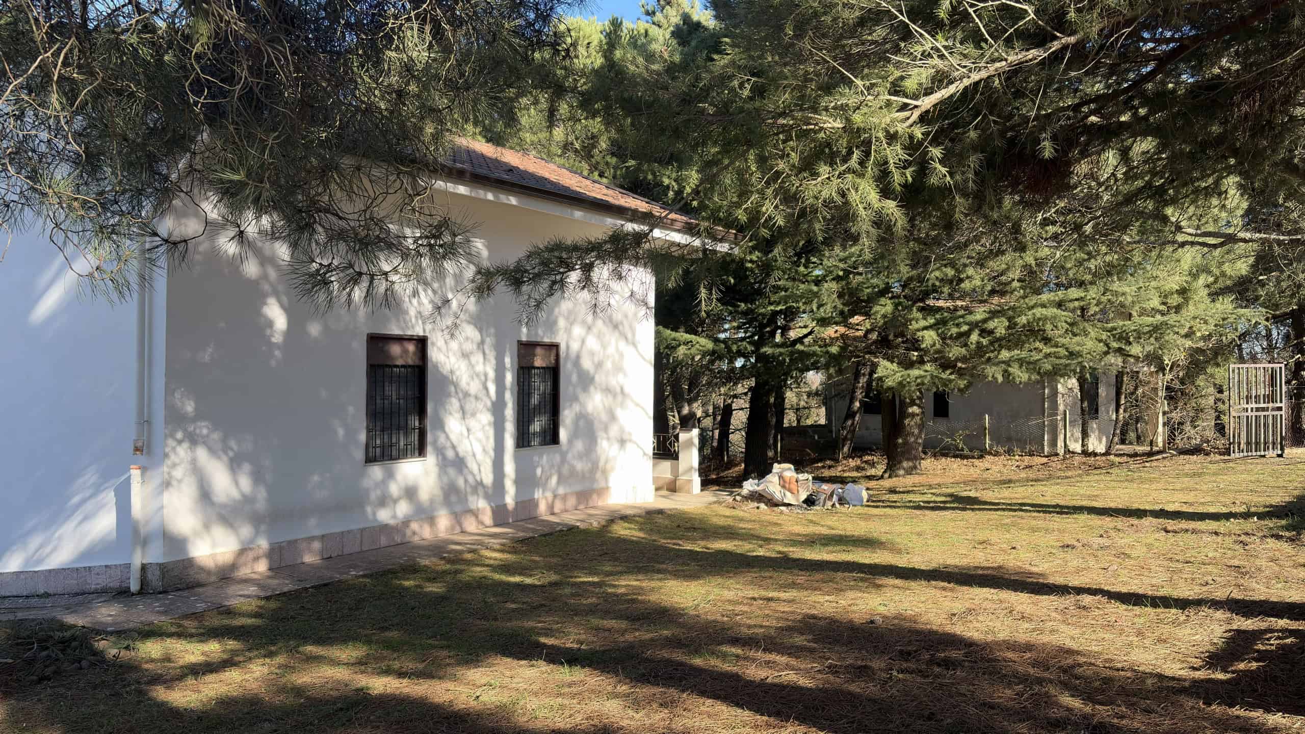 Casa in stile rustico circondata da alberi pini, con pareti bianche, finestrini con barre, suolo pavimentato e giardino ben curato, perfetta per vivere immersi nel verde.