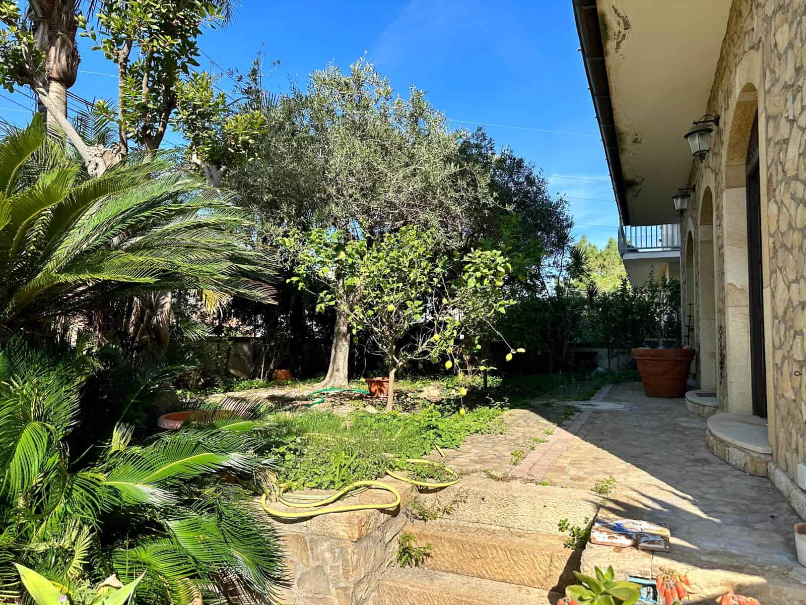 Giardino con piante tropicali e alberi di limoni, vicino a casa con facciata in pietra, spazio esterno spazioso e luminoso, ideale per relax e attività all'aperto.