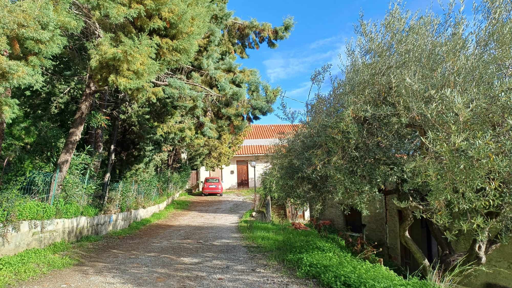 1. Albero e casa in campagna con strada sterrata e auto rossa, paesaggio rurale, affascinante ambiente naturale e tranquillo, proprietà NextCasa, residenza immersa nel verde, ideale per relax e privacy.