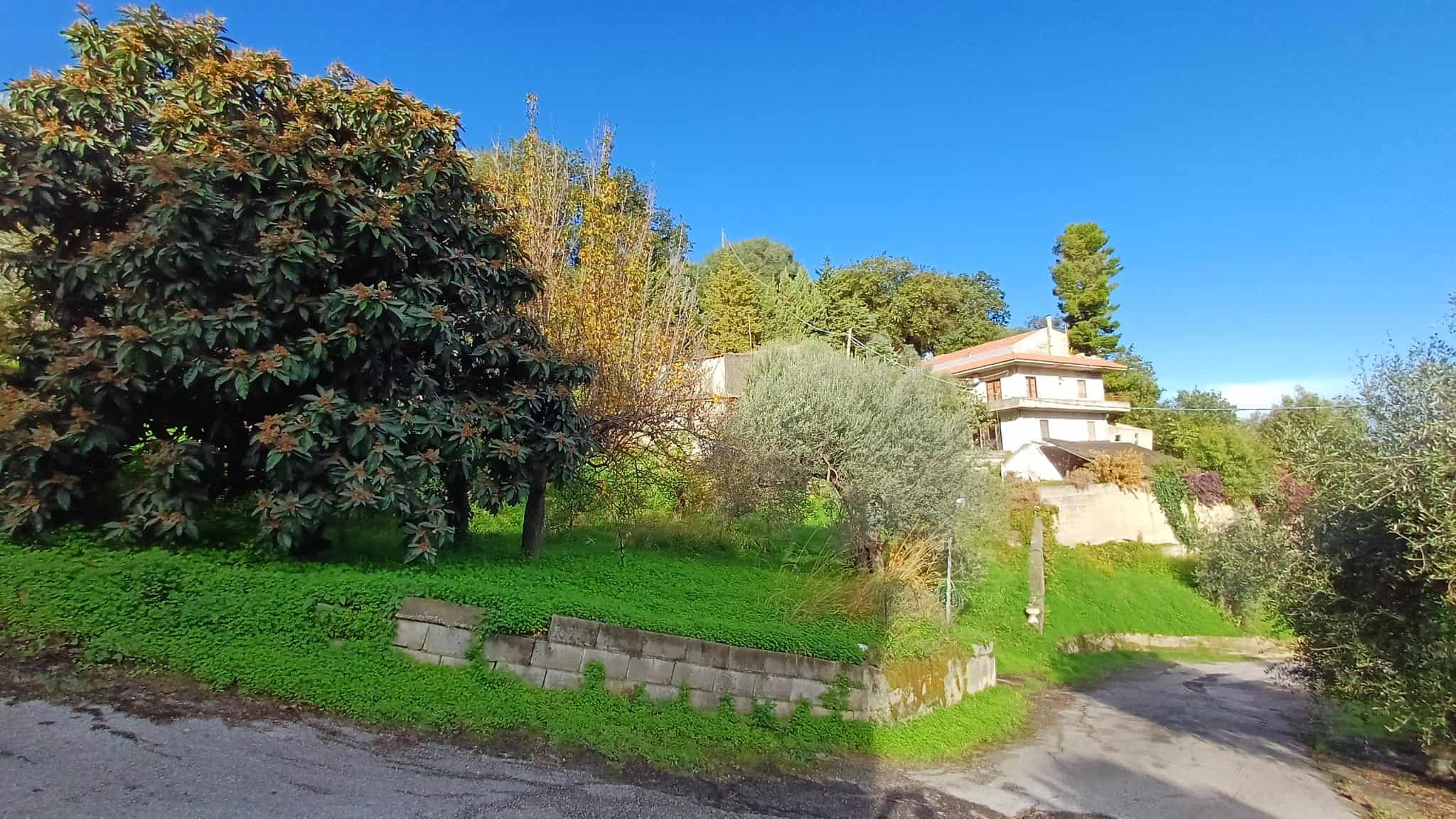 Multimedia Asset: Casa immersa nel verde con giardino rigoglioso, terreni panoramici e vista su un cielo azzurro, ideale per investimenti immobiliari e case di prestigio in zona tranquilla.