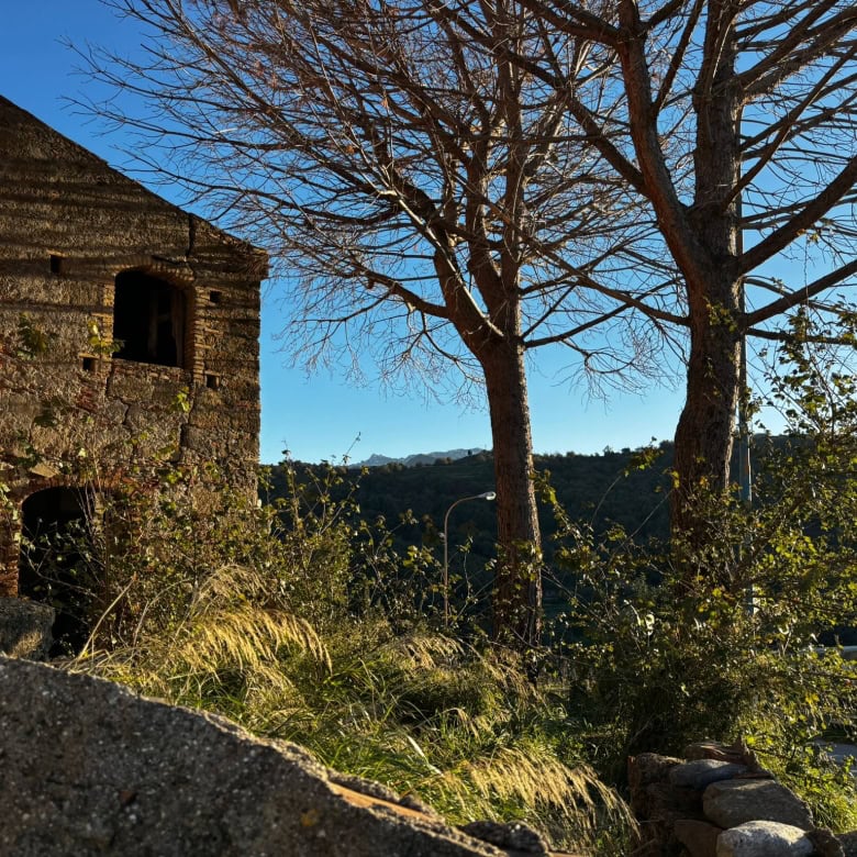 Vecchio casolare in pietra con struttura in mattoni, circondato da alberi e vegetazione, con vista su dolci colline e cielo azzurro, in un paesaggio naturale e suggestivo.