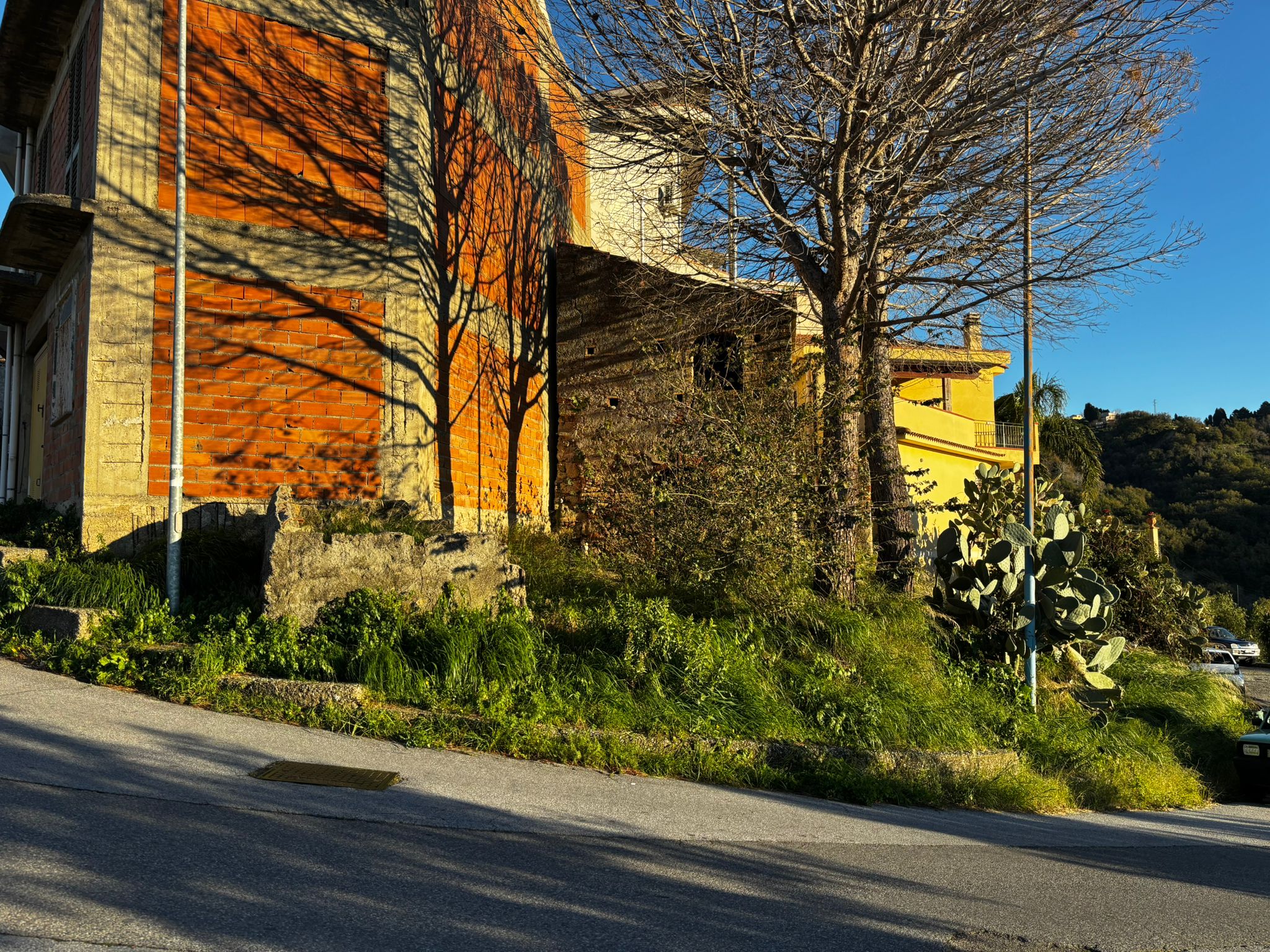 Vecchio edificio residenziale con alberi e piante mediterranee, ombra sulla strada, in un paesaggio collinare ricco di natura, all'ora d'oro con luce calda e cielo terso.