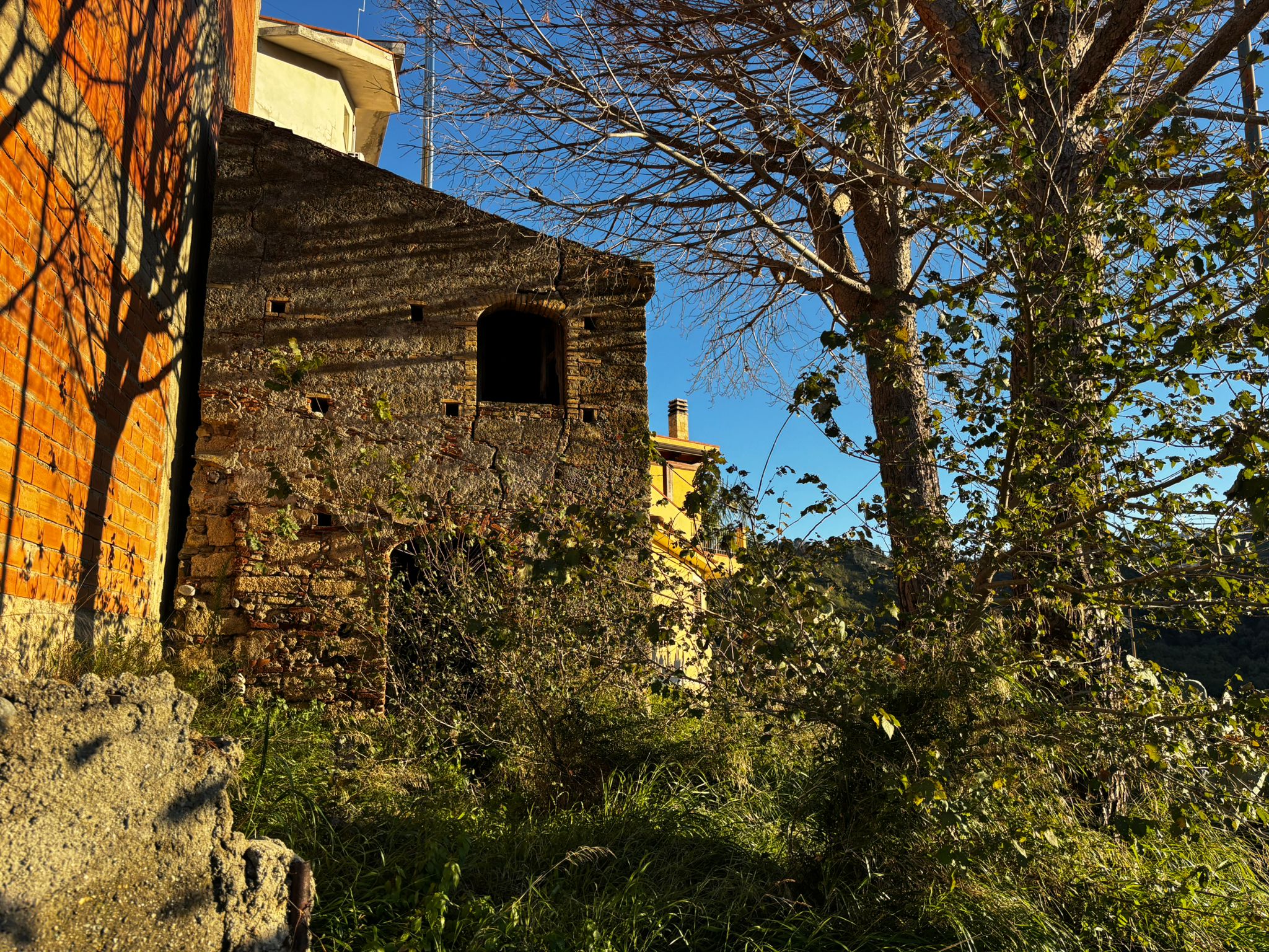 1. Vecchio edificio in pietra con finestra aperta, immerso nella natura e circondato da alberi e vegetazione.