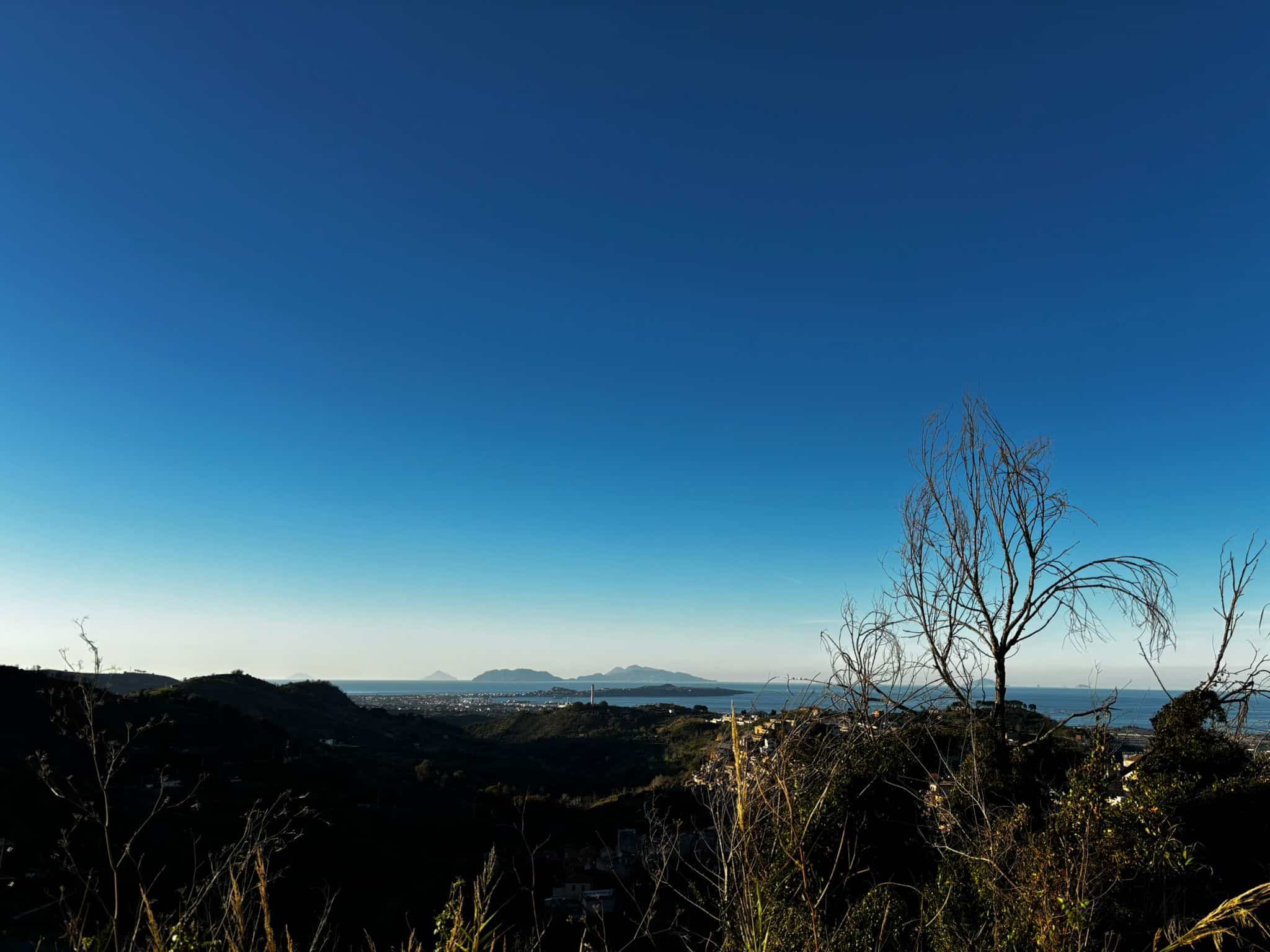 Vista panoramica di campagna e mare al tramonto, con cielo sereno e isolati alberi nudi, in un'immagine di alta qualità per annunci immobiliari e promozione di proprietà con vista mare.