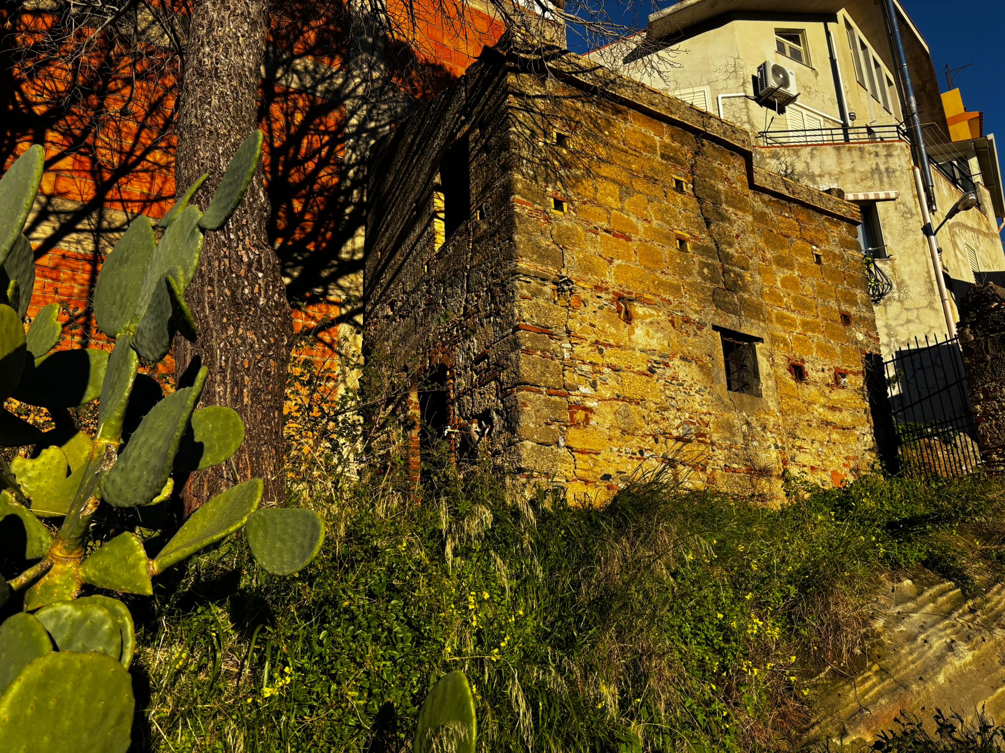 Antico edificio in pietra con mura storiche, ambiente naturale, cactus e vegetazione, in zona residenziale, fotografia di esempio di architettura e natura.
