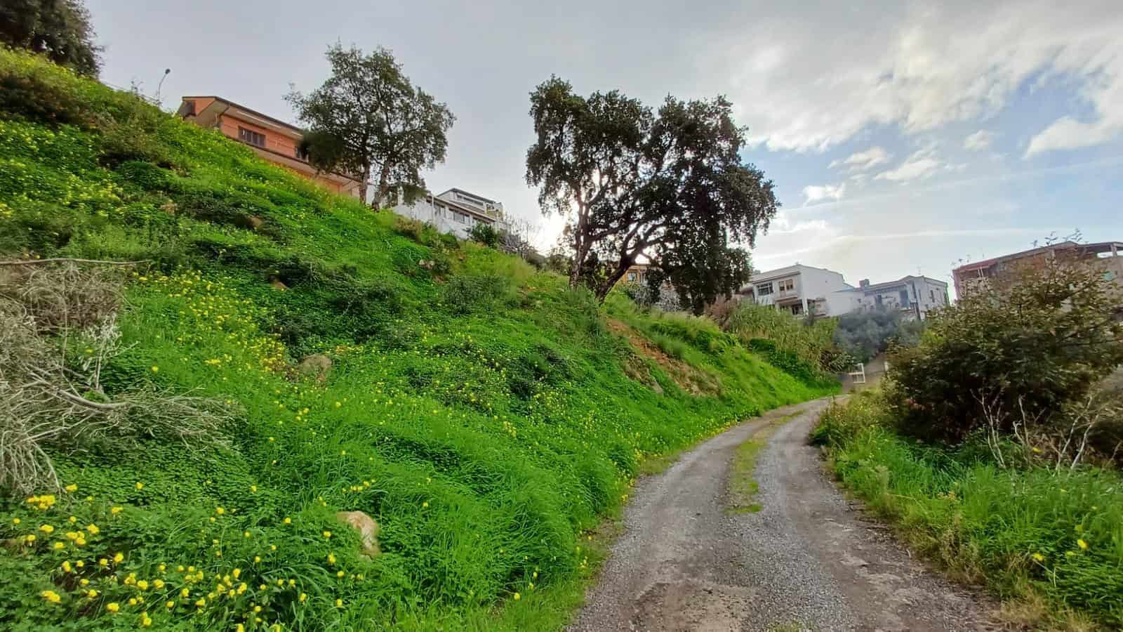 Prato verde con case moderne su collina, sentiero sterrato e alberi, scenario naturale e residenziale in zona collinare, immobile di pregio, ambiente tranquillo e panoramico in eco-friendly residence.