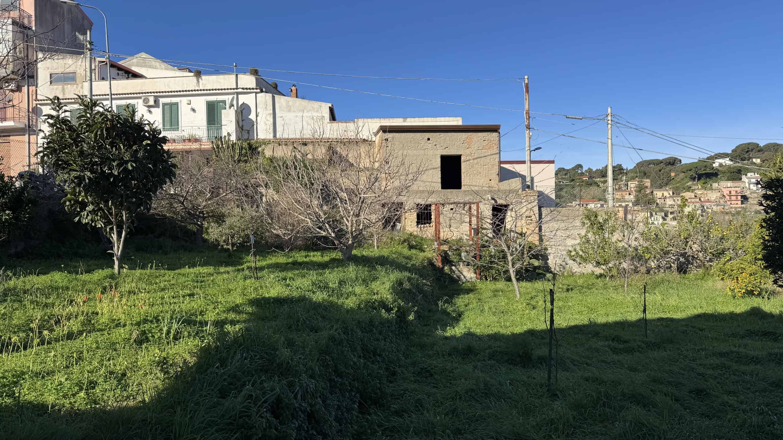 Piante e giardino in un'area residenziale con case in costruzione e colline sullo sfondo, rappresentazione di un ambiente tranquillo e naturale vicino a zone urbane.